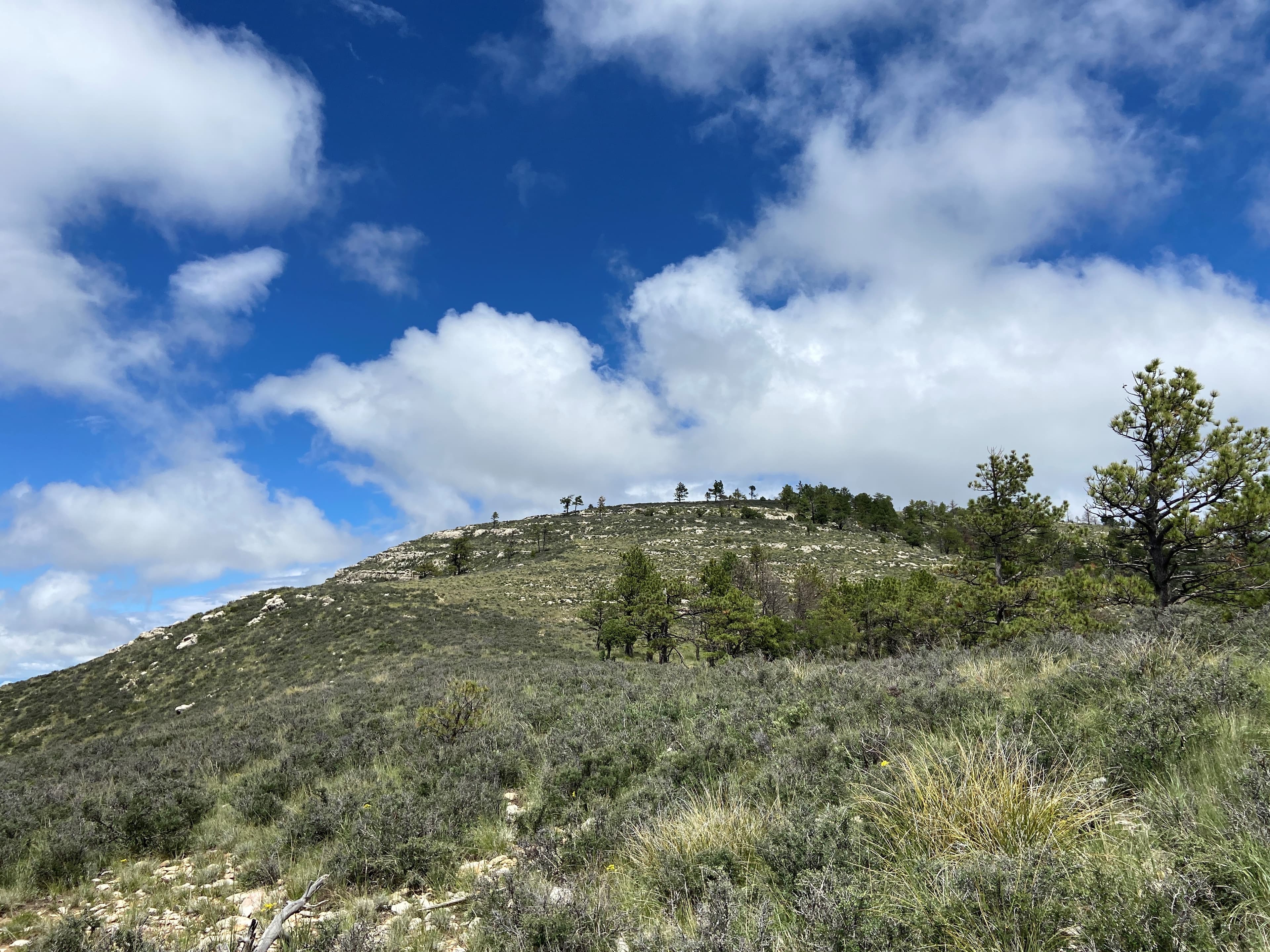 Bush Mountain