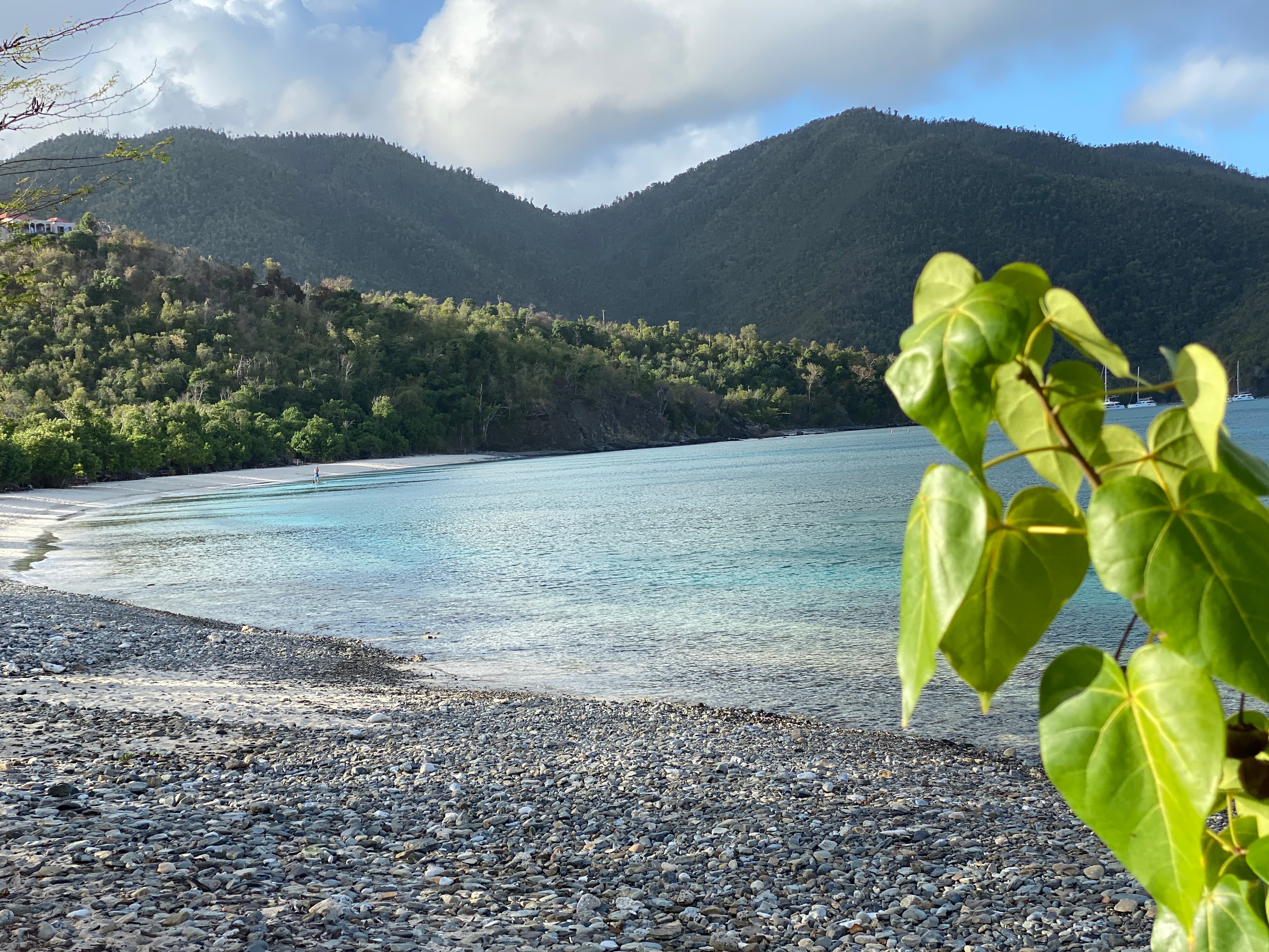 Francis Bay