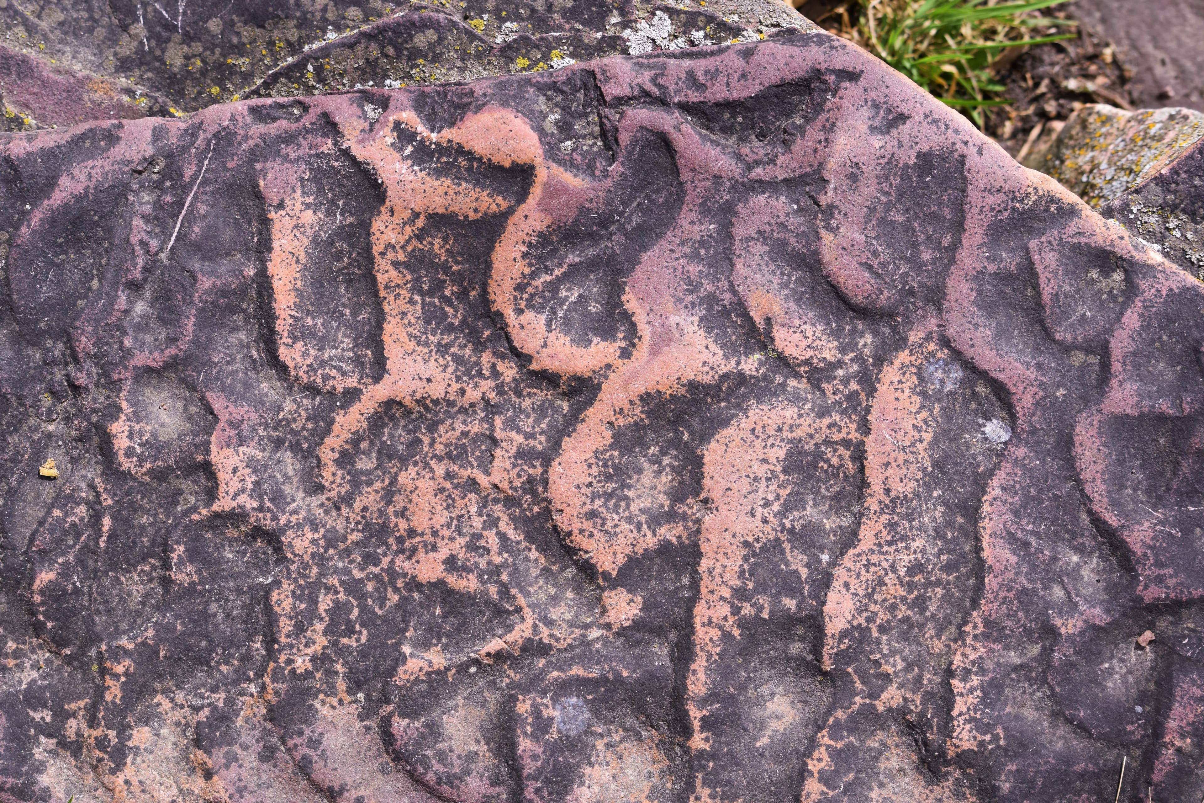 Ripple Marks