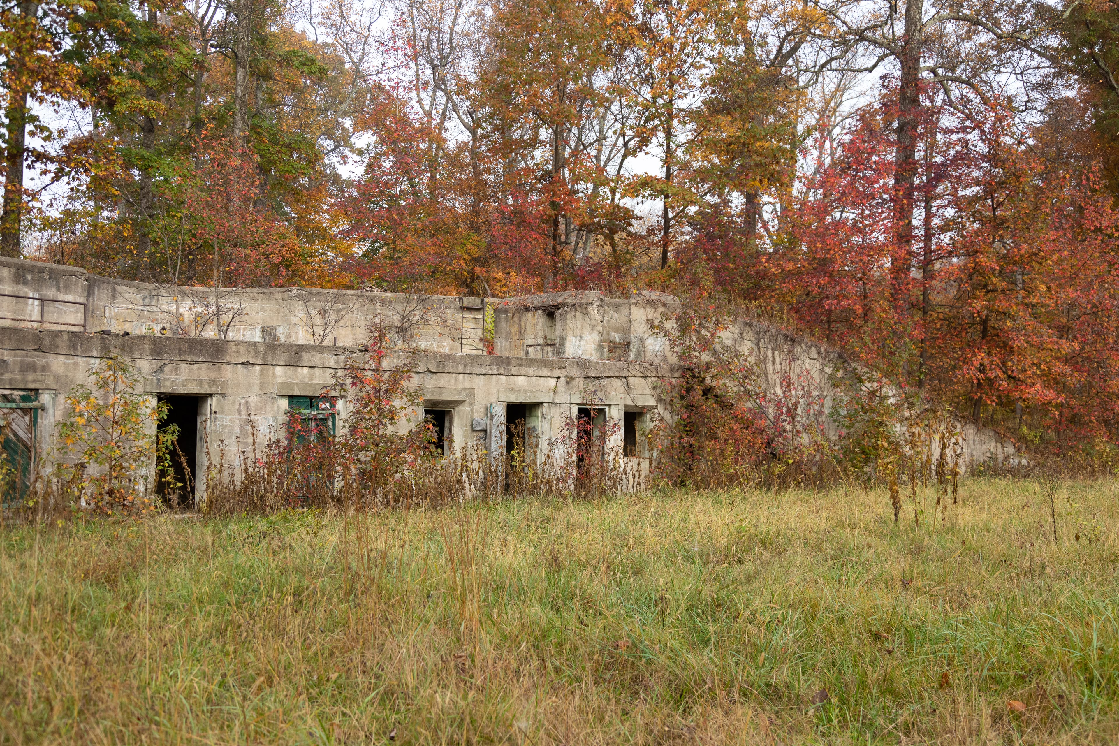 Battery Wilkin