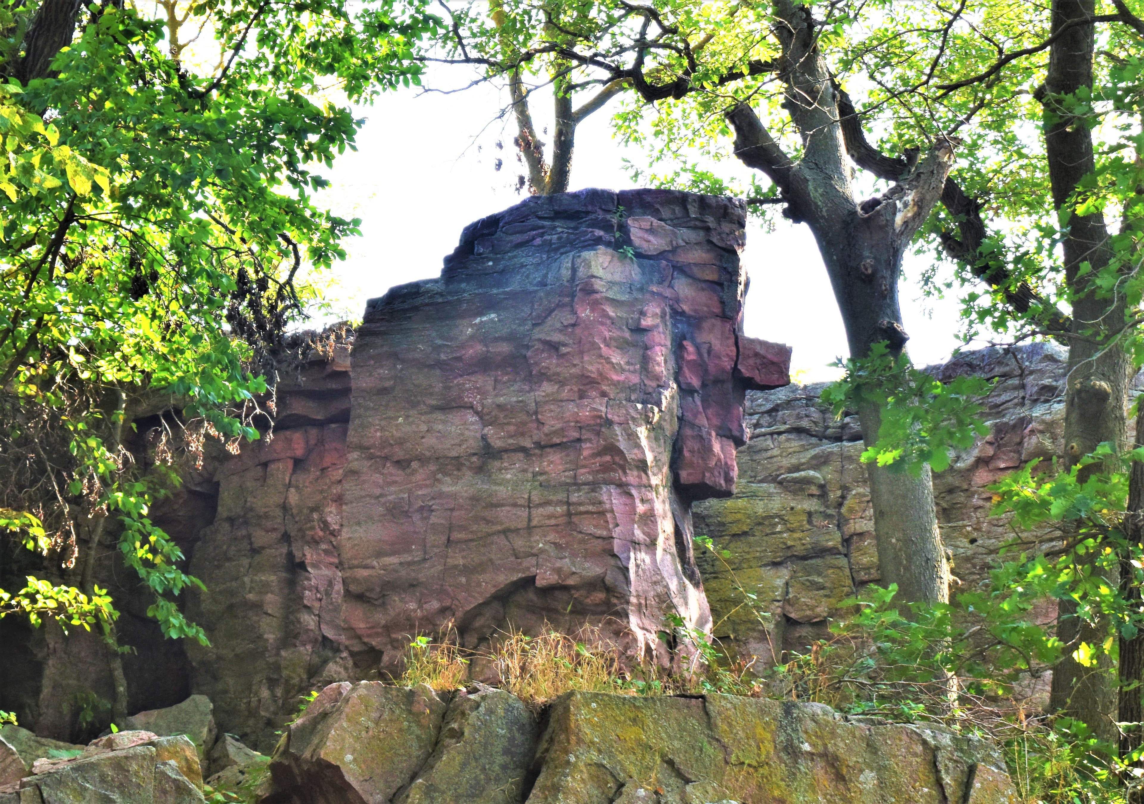 Old Stone Face