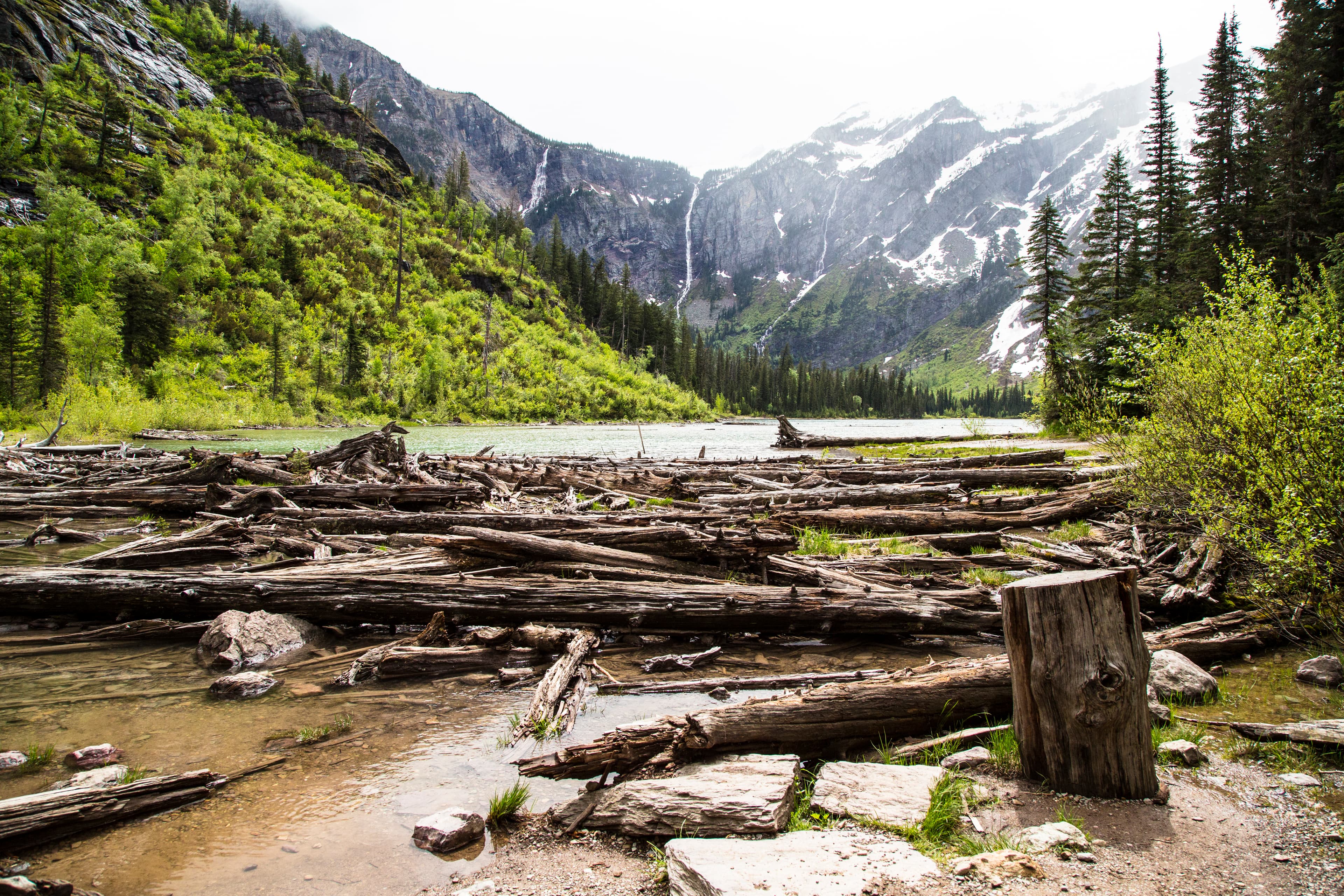 Avalanche Lake Trail