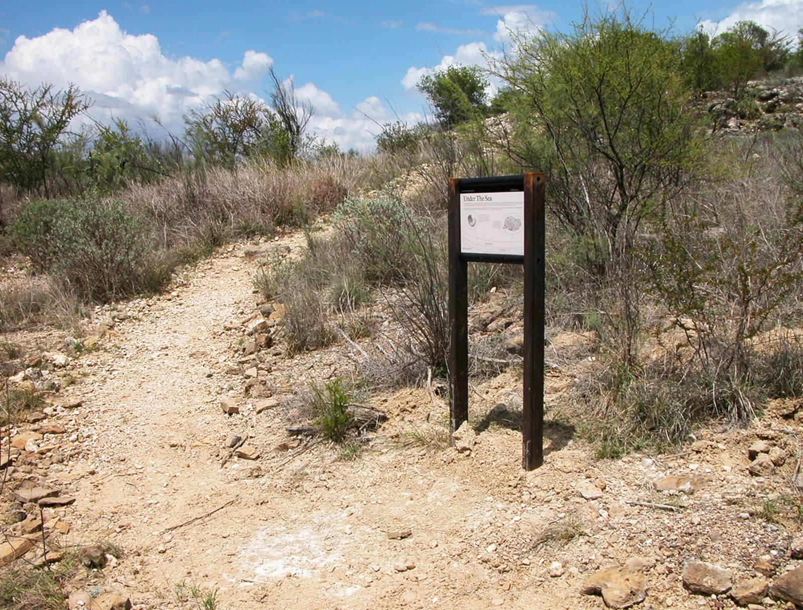 Sunrise Trail - Amistad