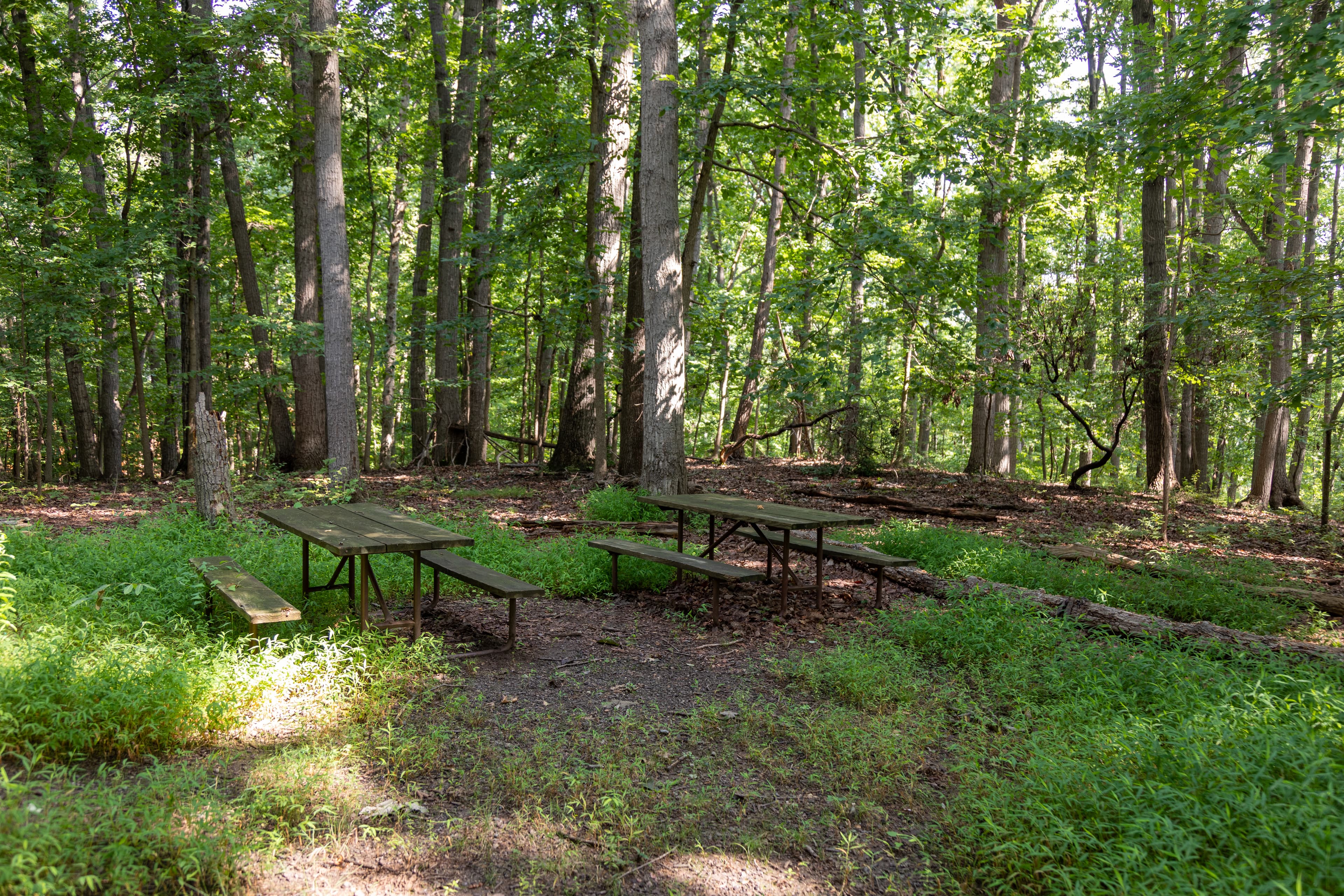 Composers Cottage Site