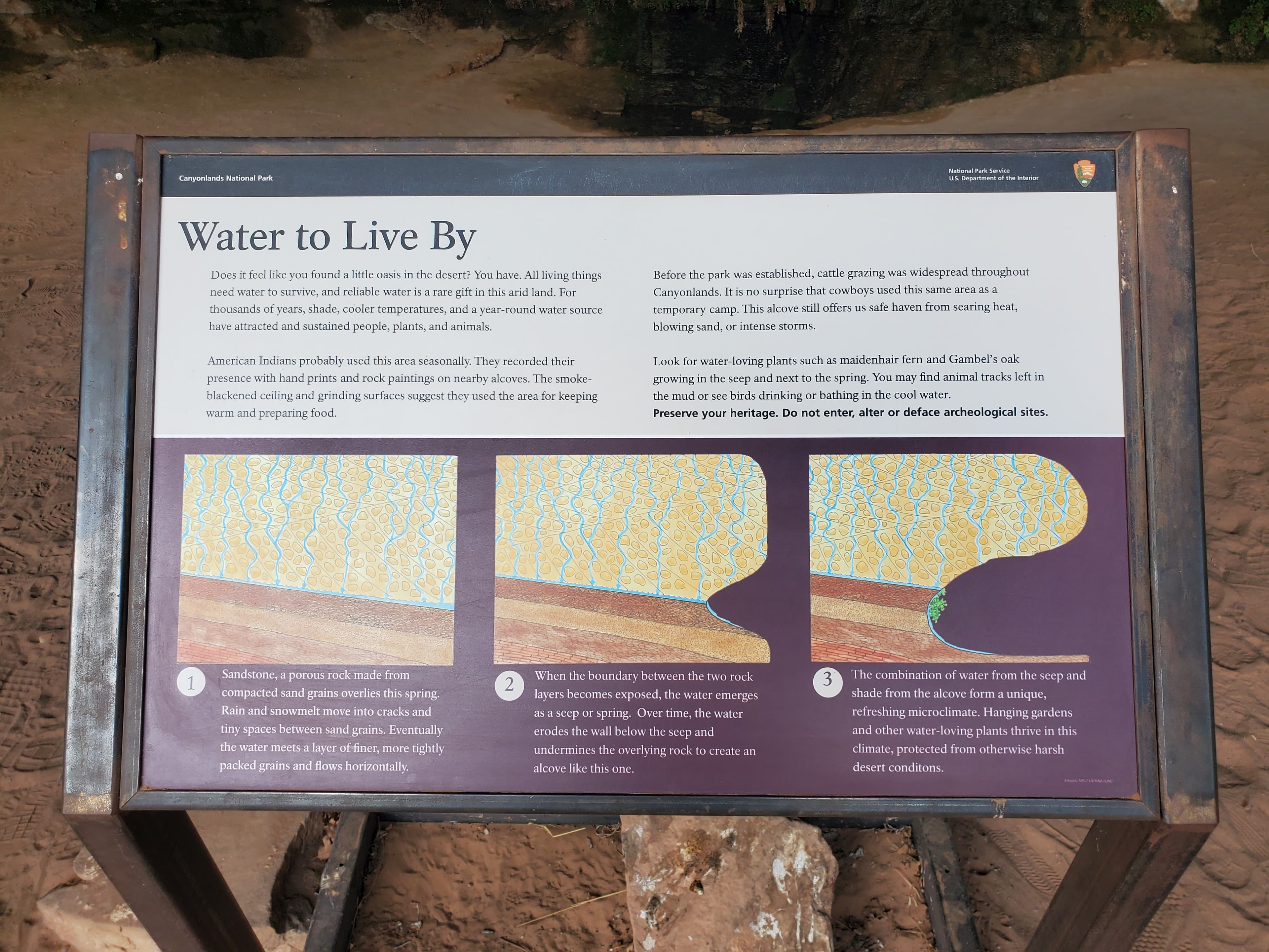 Cave Spring: Water to Live By