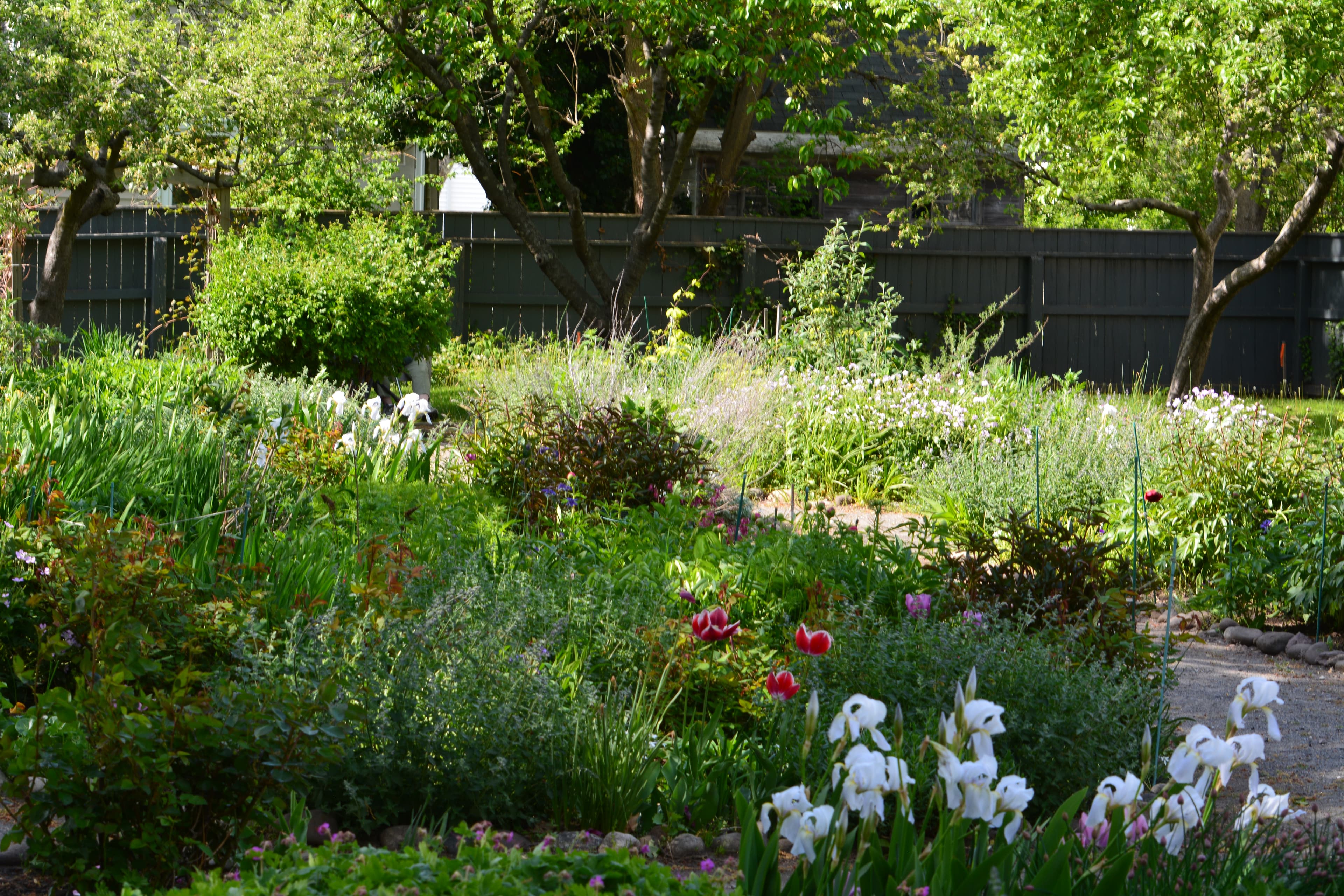 Colonial Revival Garden