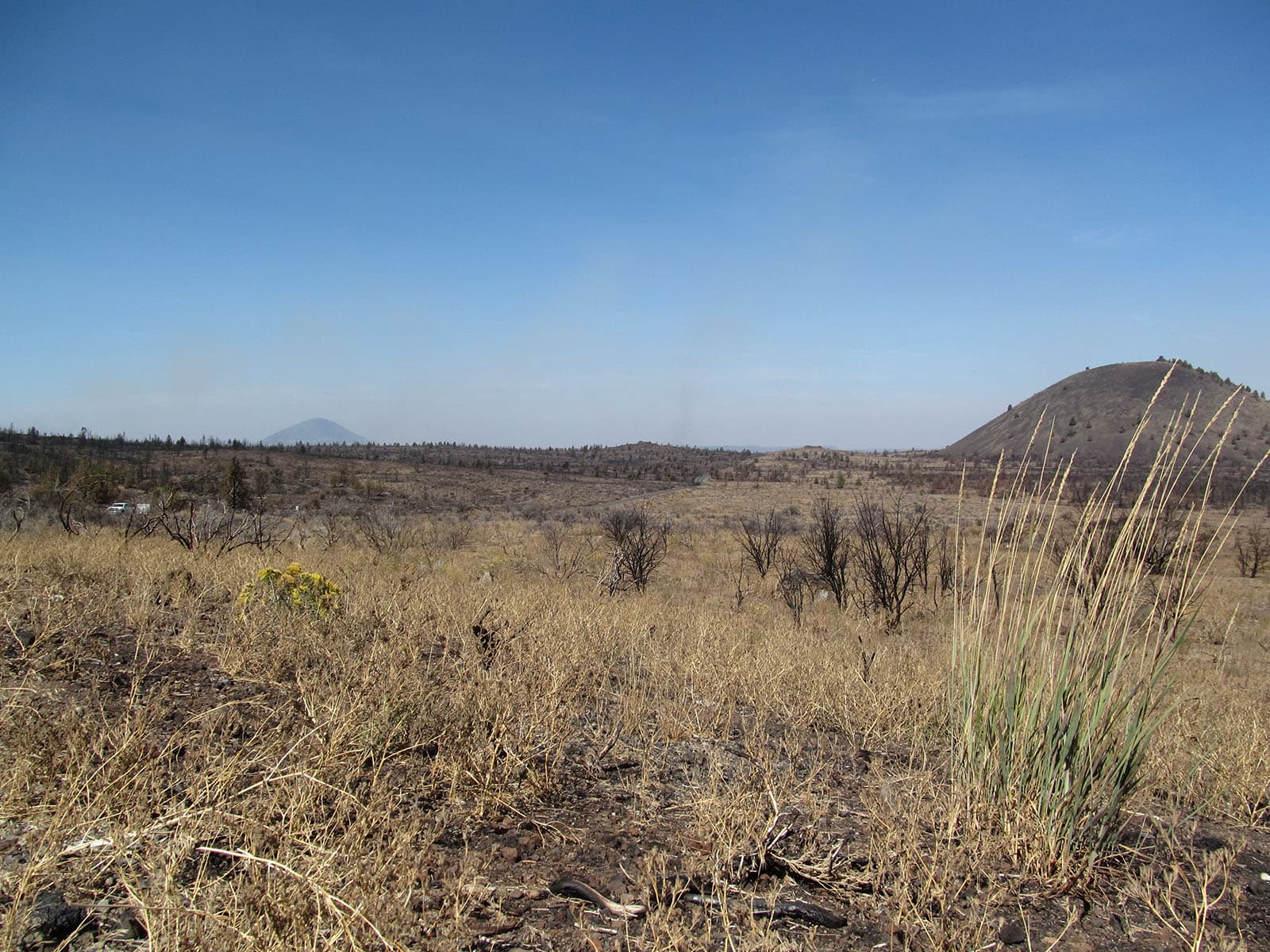 Bunchgrass Overlook