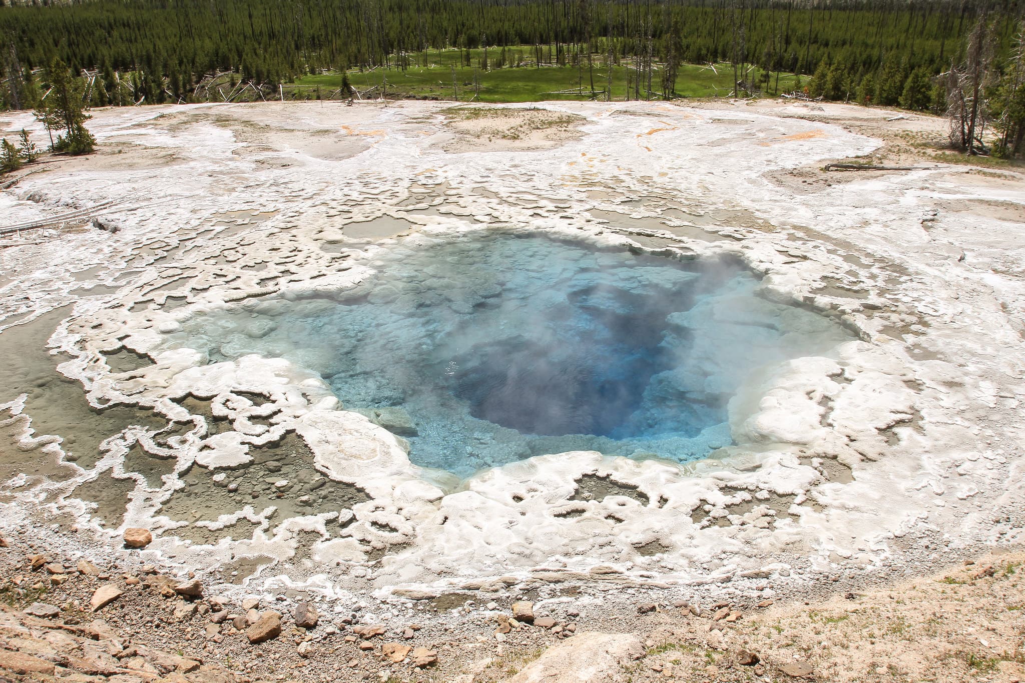 Artemisia Geyser