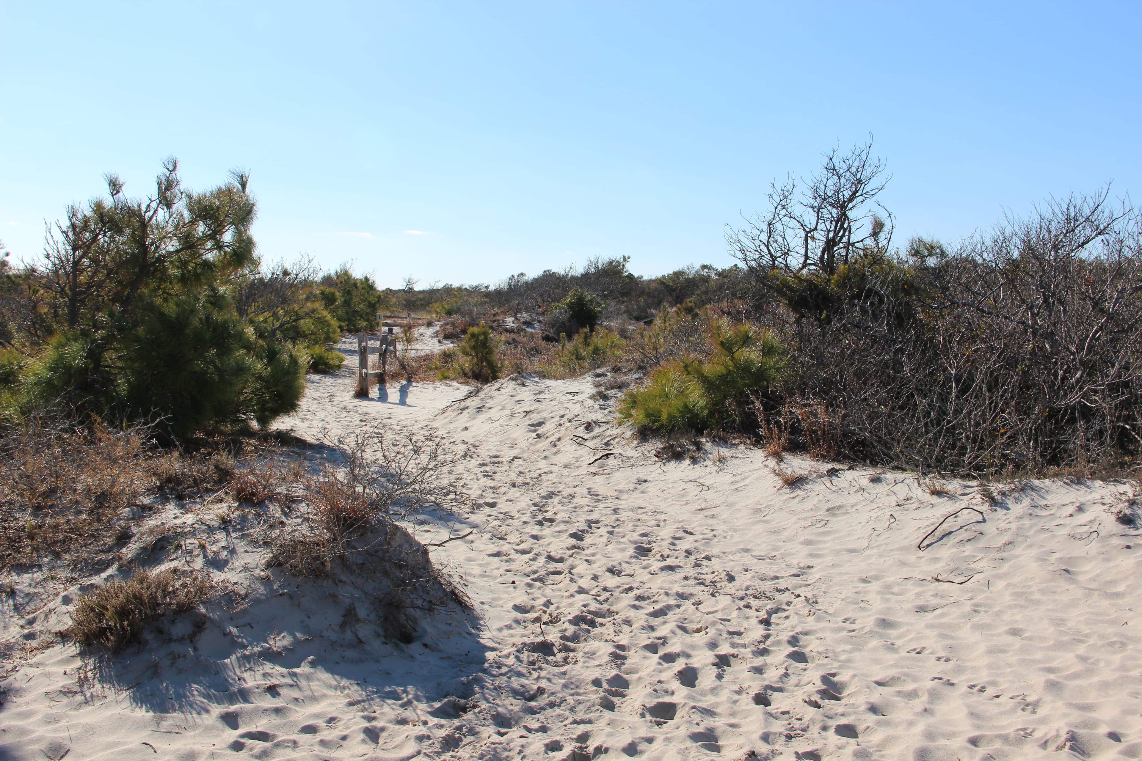 MD - Life of the Dunes Trail