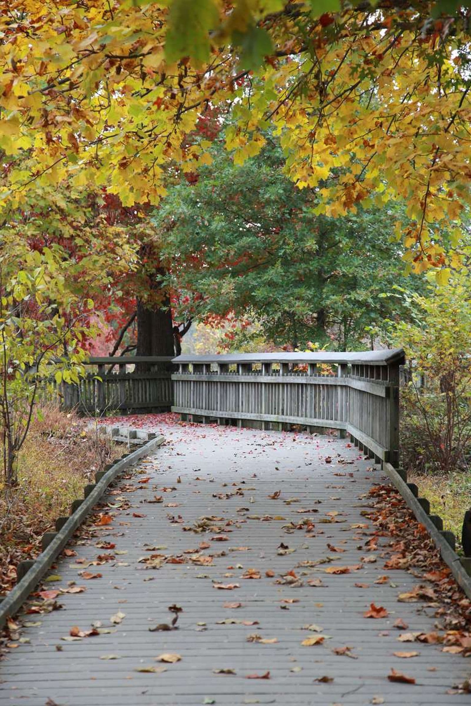 Kenilworth Boardwalk access