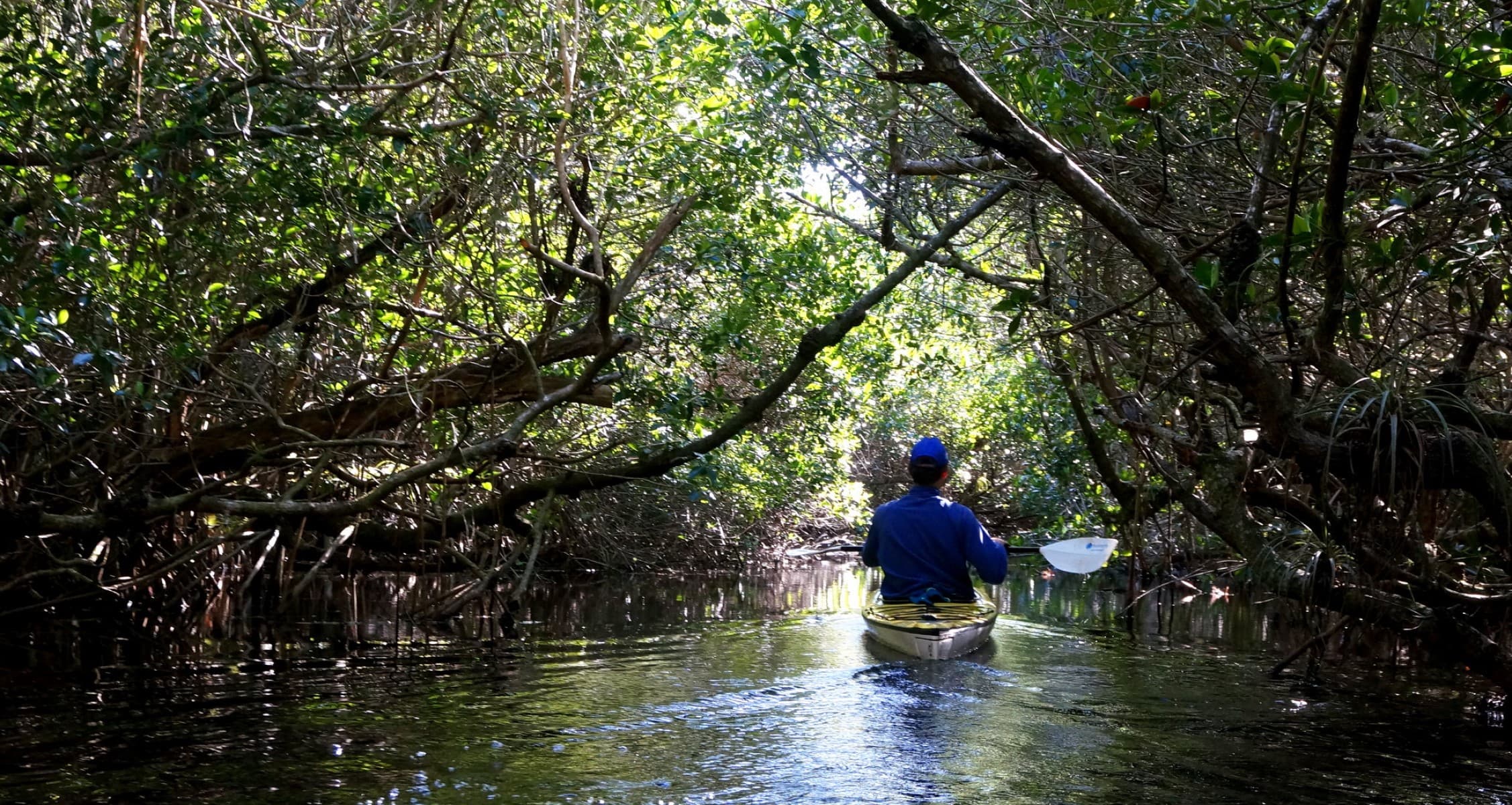 Halfway Creek Paddling Trail