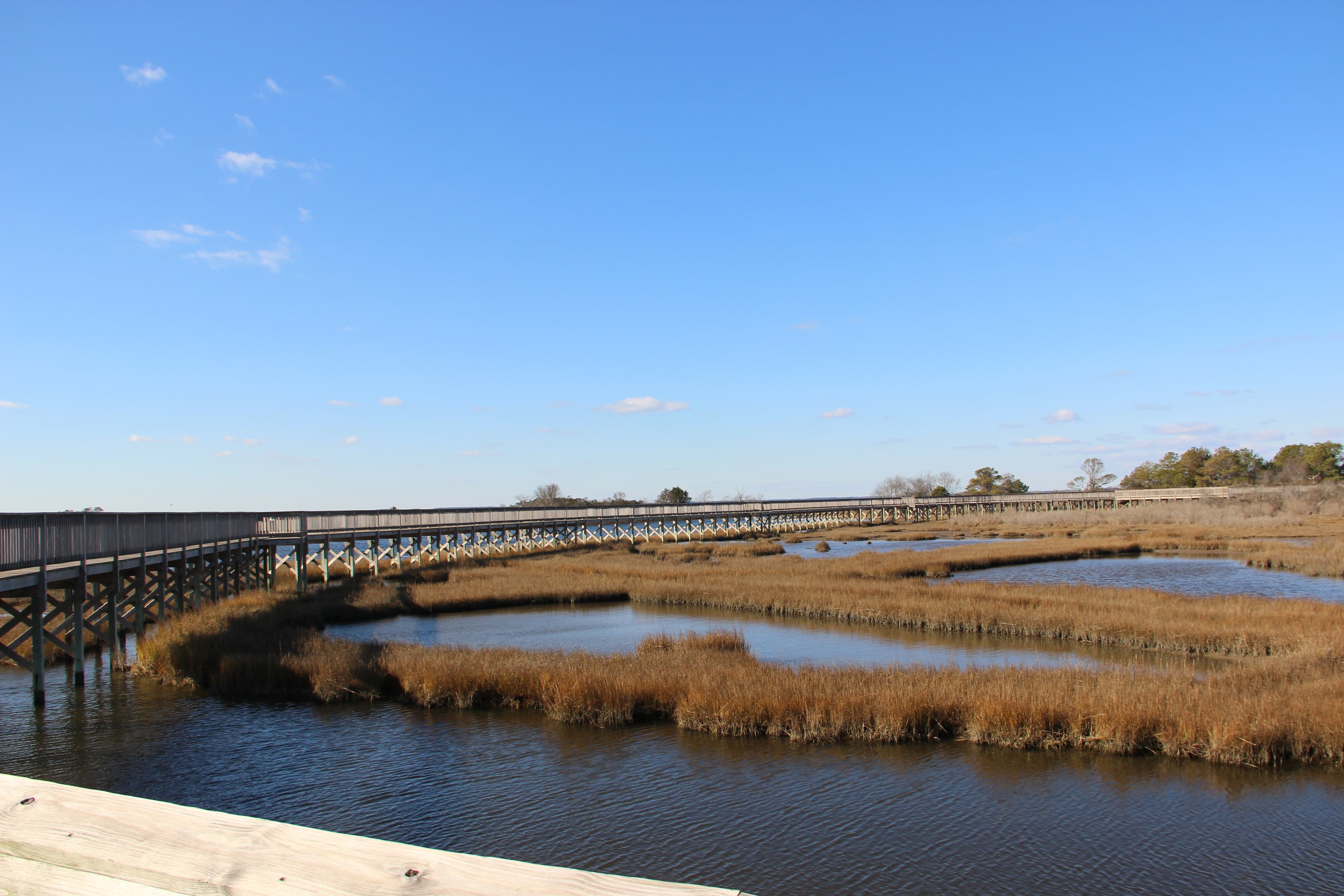 MD - Life of the Marsh Trail