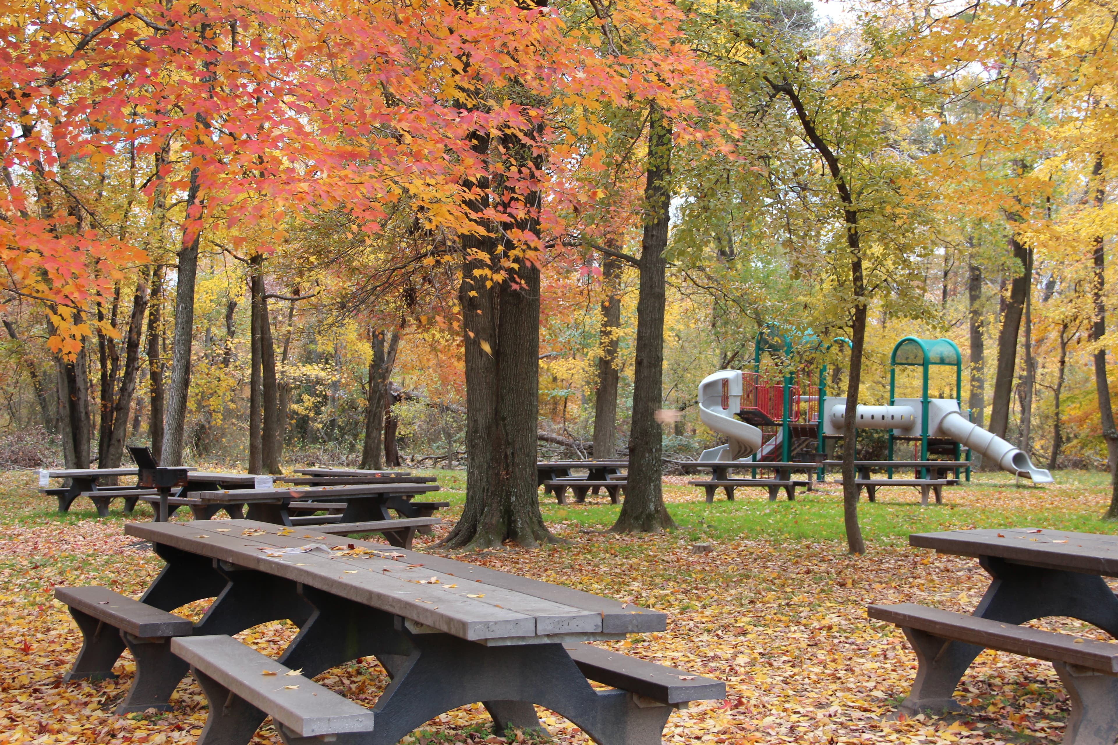 Sweetgum Picnic Area