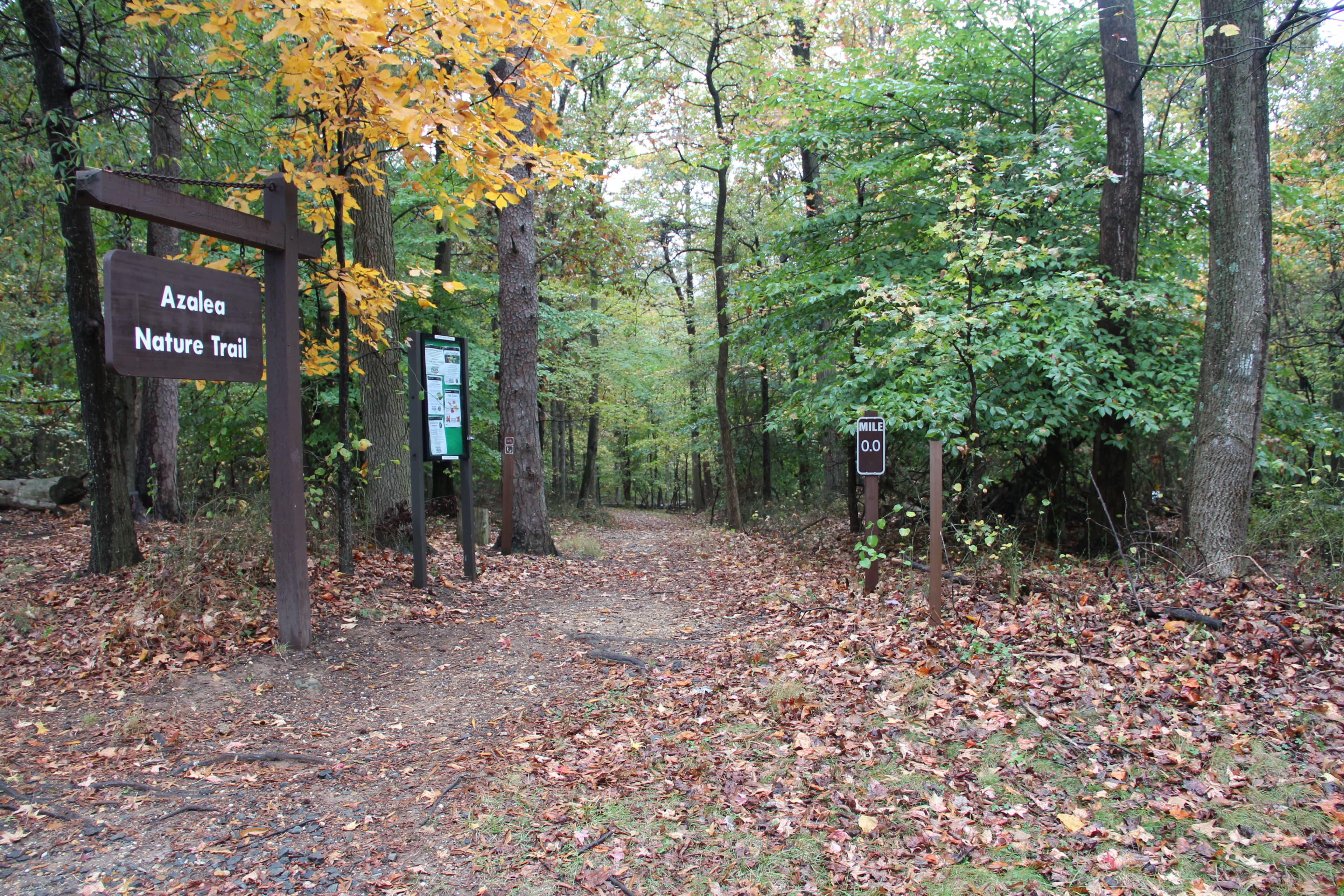 Azalea Trail