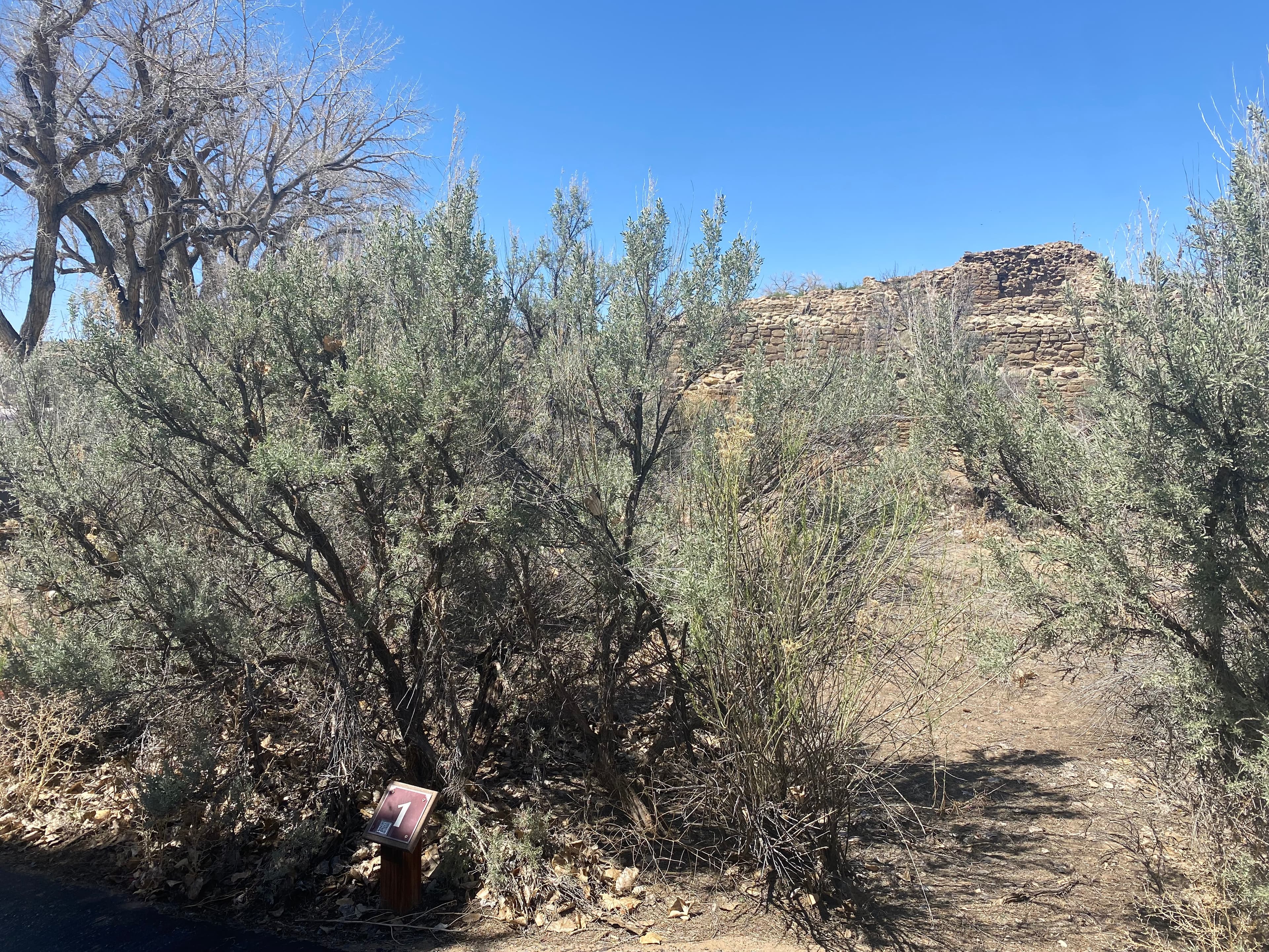 Aztec West Audio Tour: Stop #1