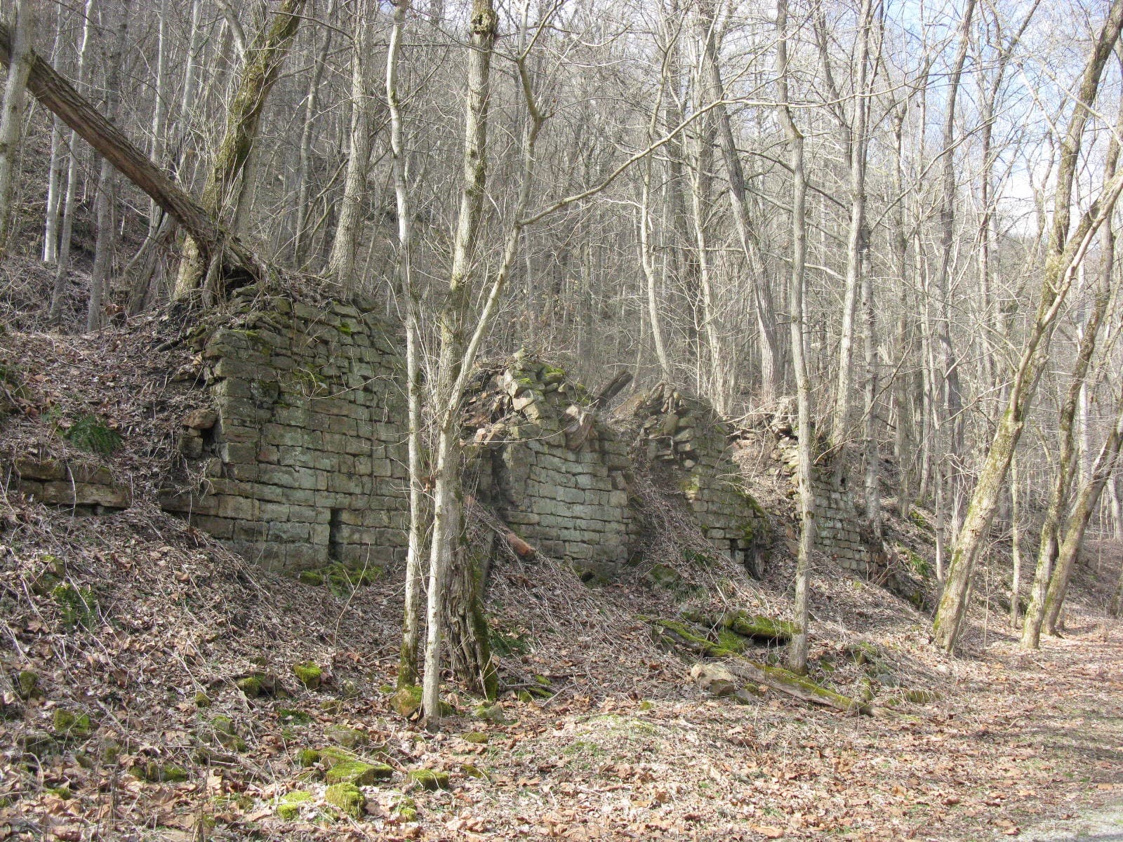 Brooklyn Coke Ovens