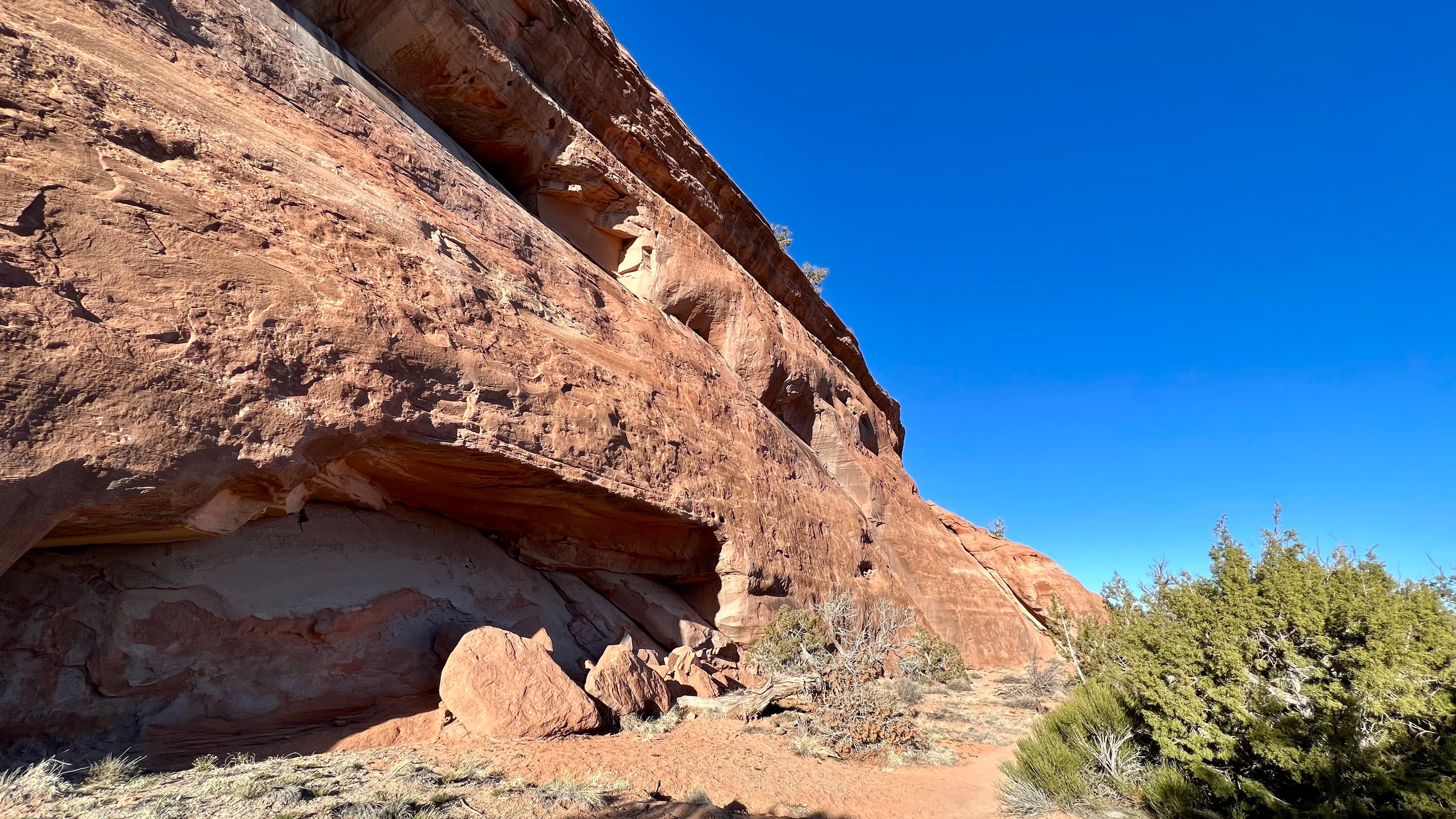 Alcove Nature Trail (Colorado National Monument)