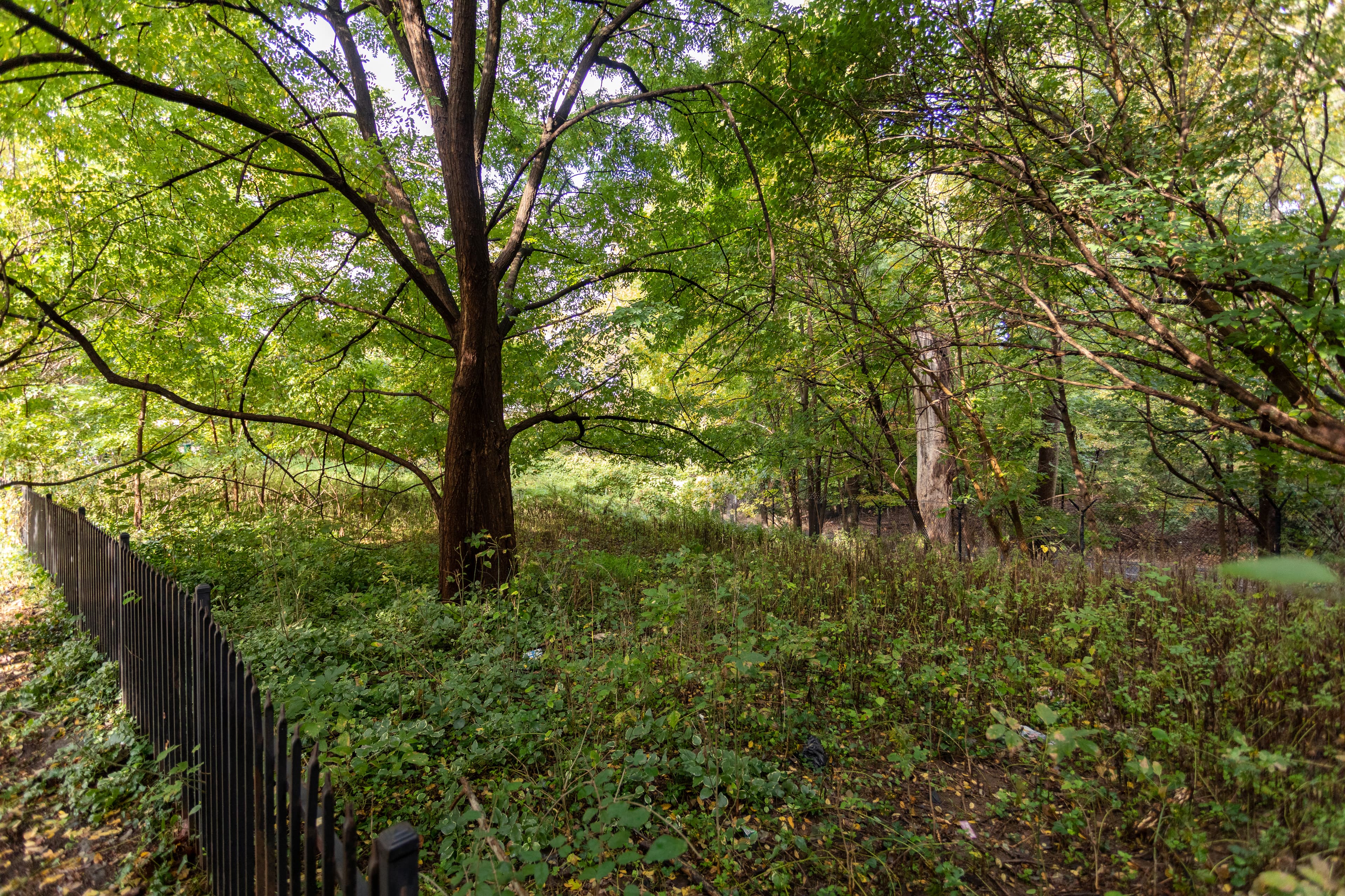 African American cemetery