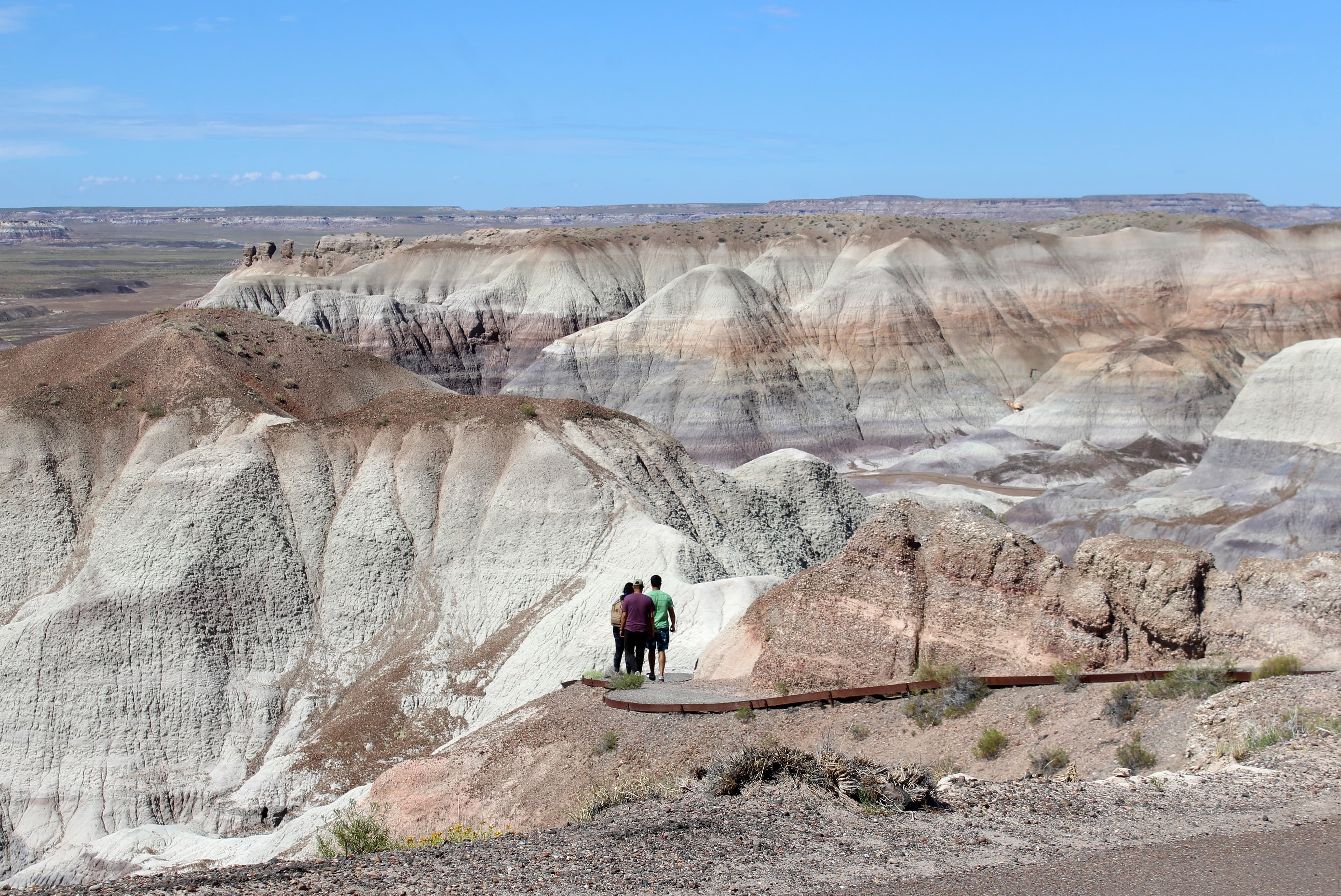 Blue Mesa Trail