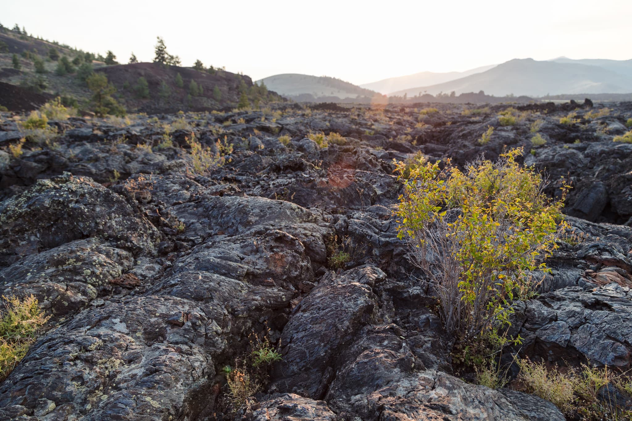North Crater Flow Trail
