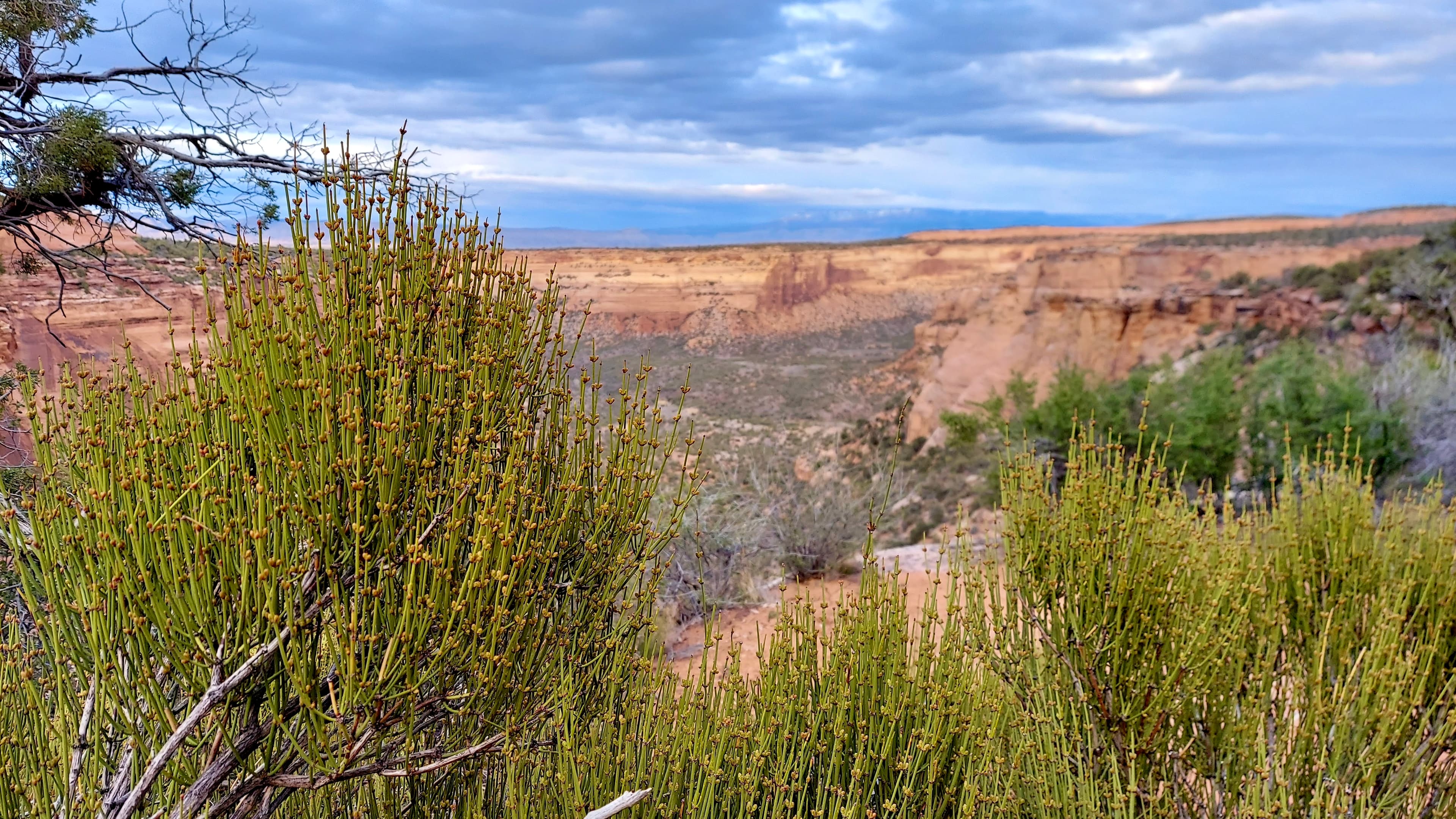 Coke Ovens Trail (Colorado National Monument)