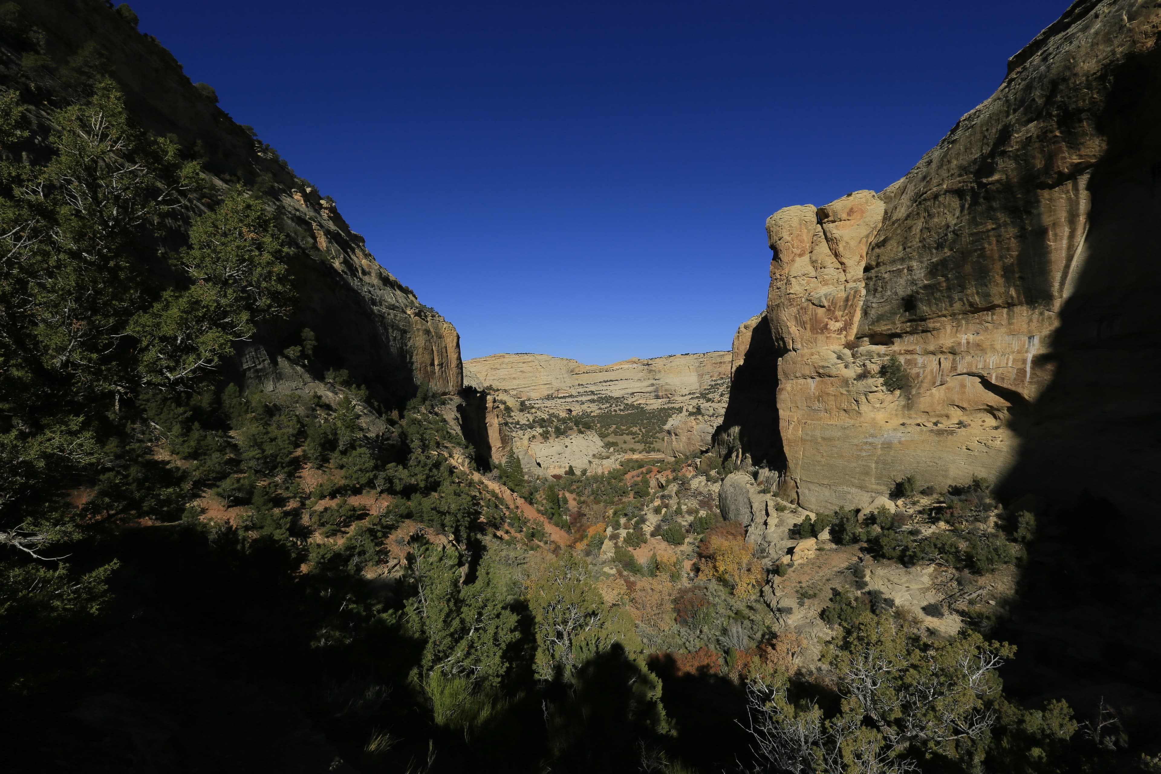 Bull Canyon Trail