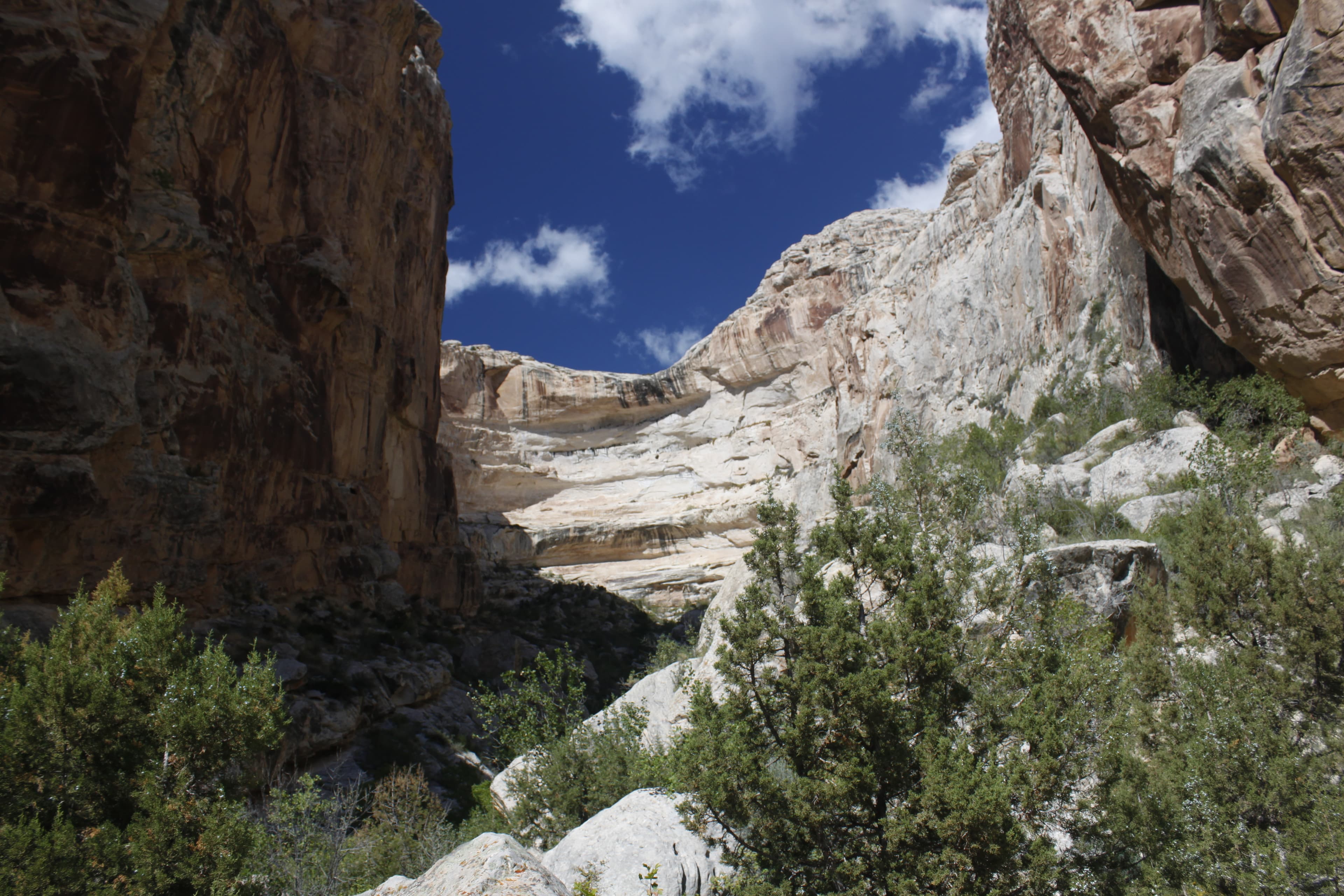 Box Canyon Trail