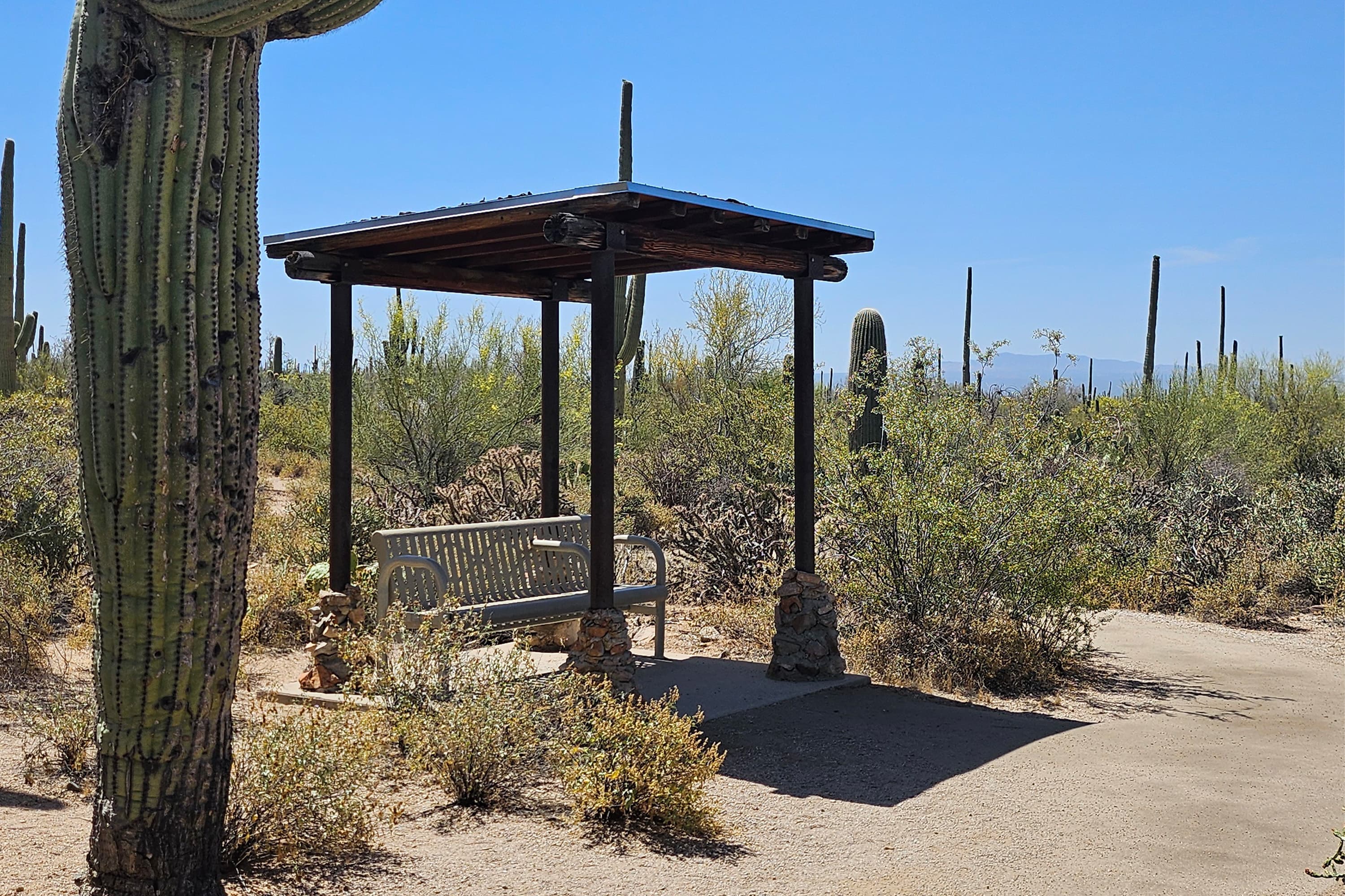 Desert Discovery Trail