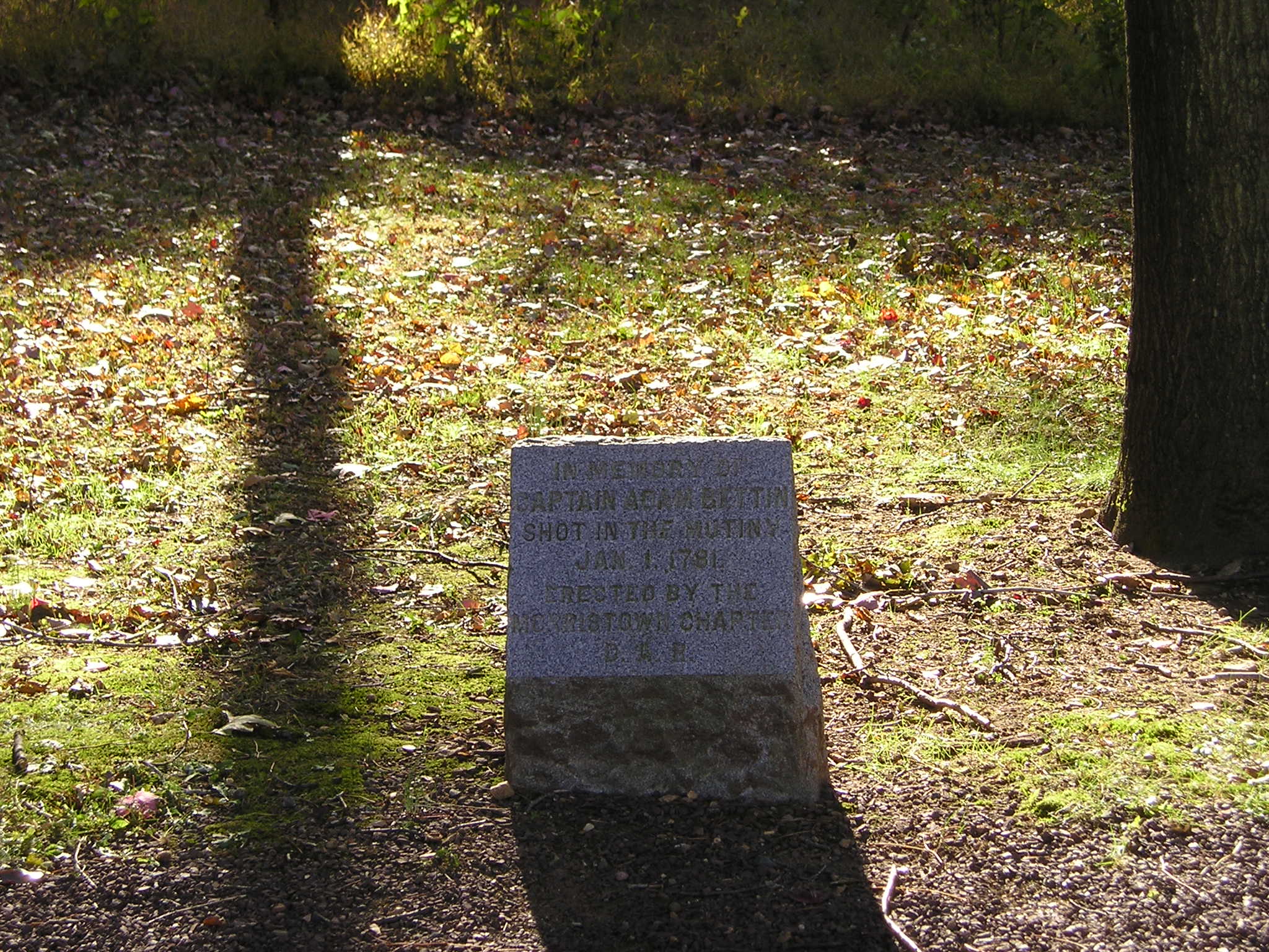Bettin Oak Monument