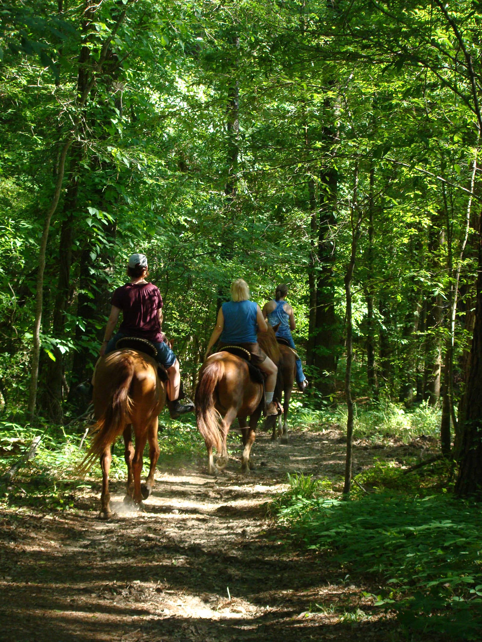 Highway 43 Trailhead, Milepost 114.9