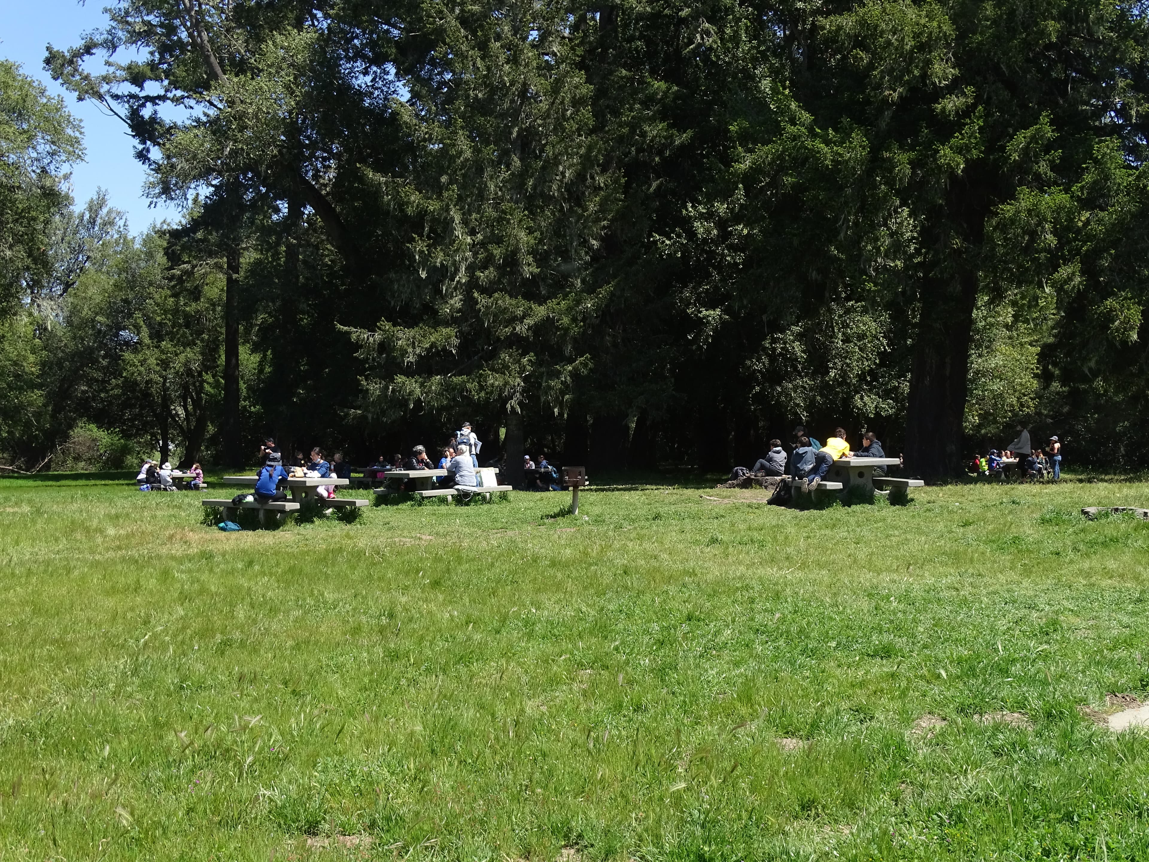 Bear Valley Picnic Area