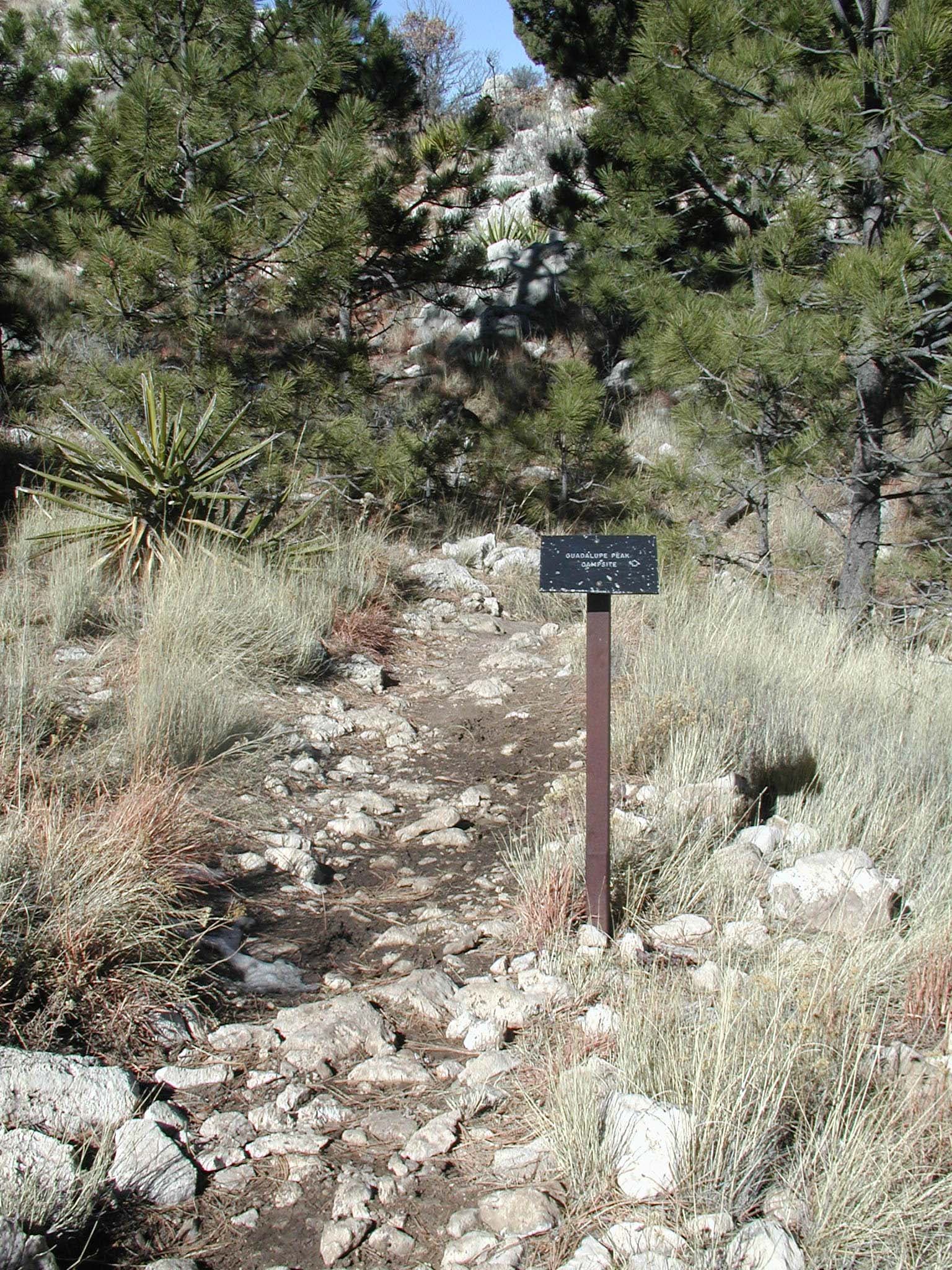 Campground Junction