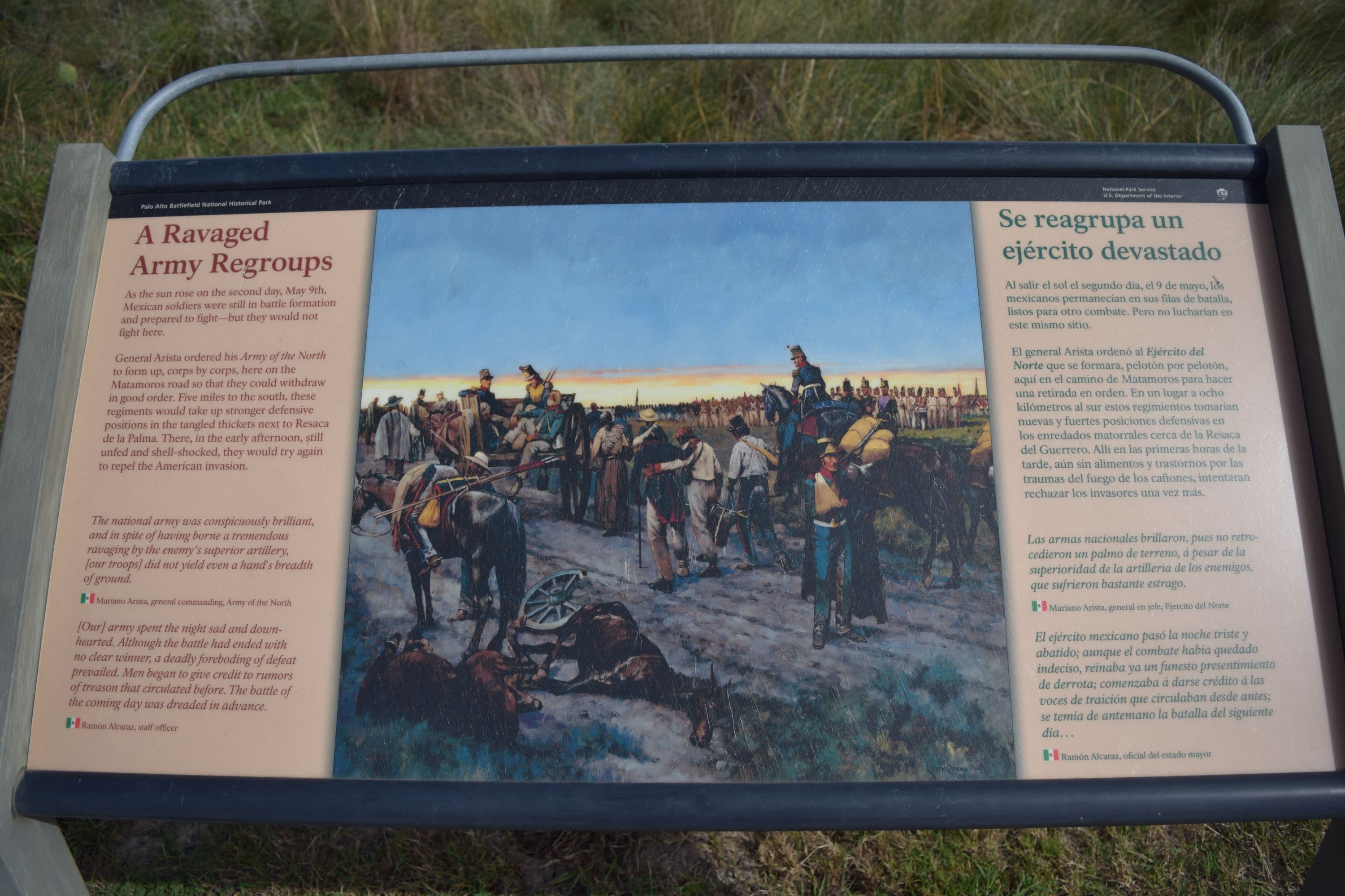 A Ravaged Army Regroups Wayside