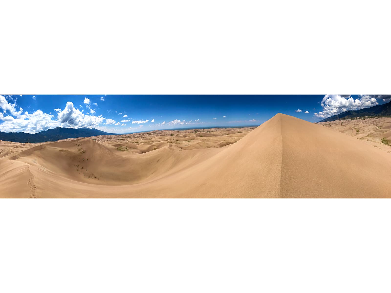 Hidden Dune