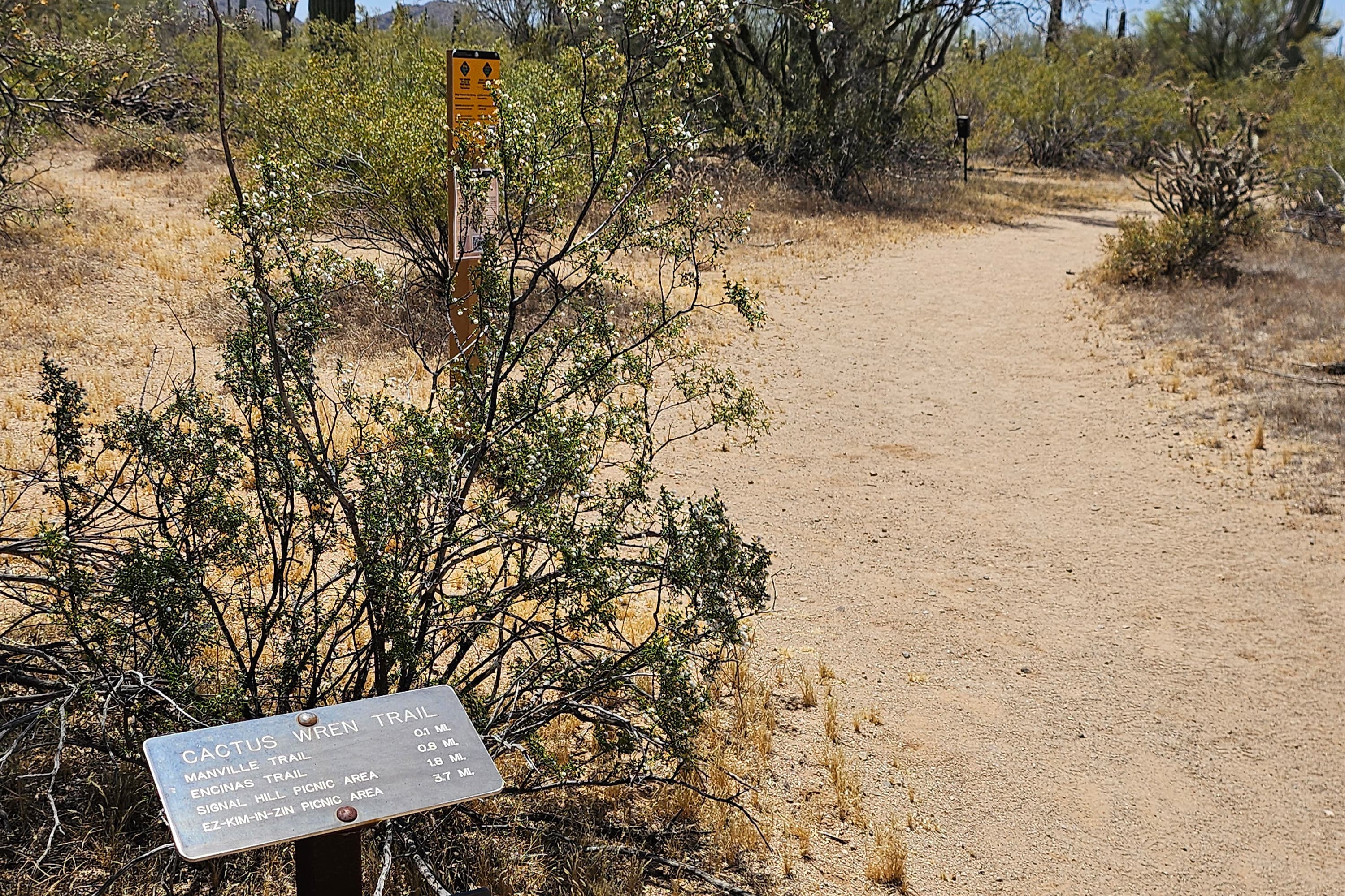 Cactus Wren Trail, Access Point 3