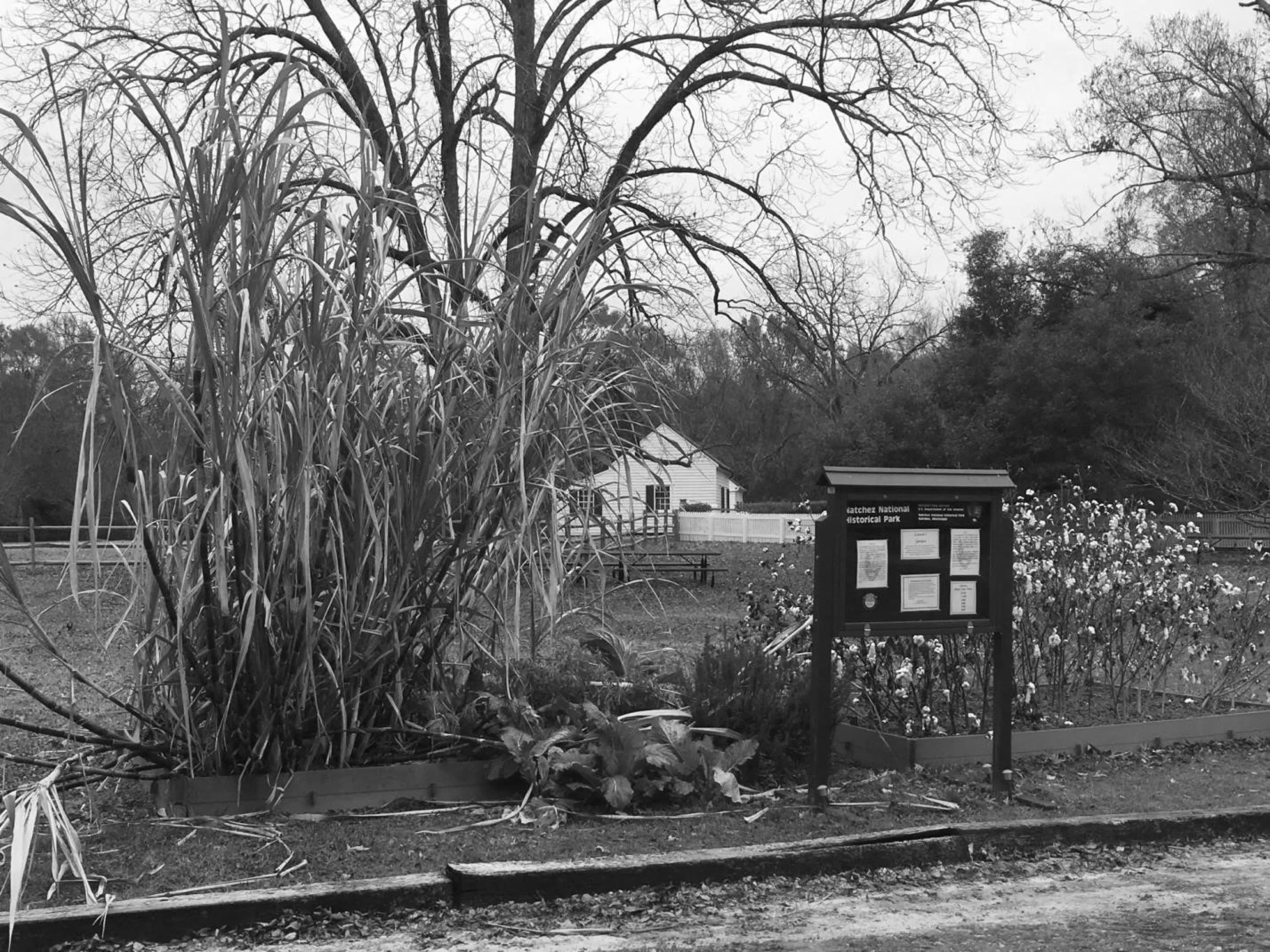 Stop 17 Melrose Raised Bed Garden