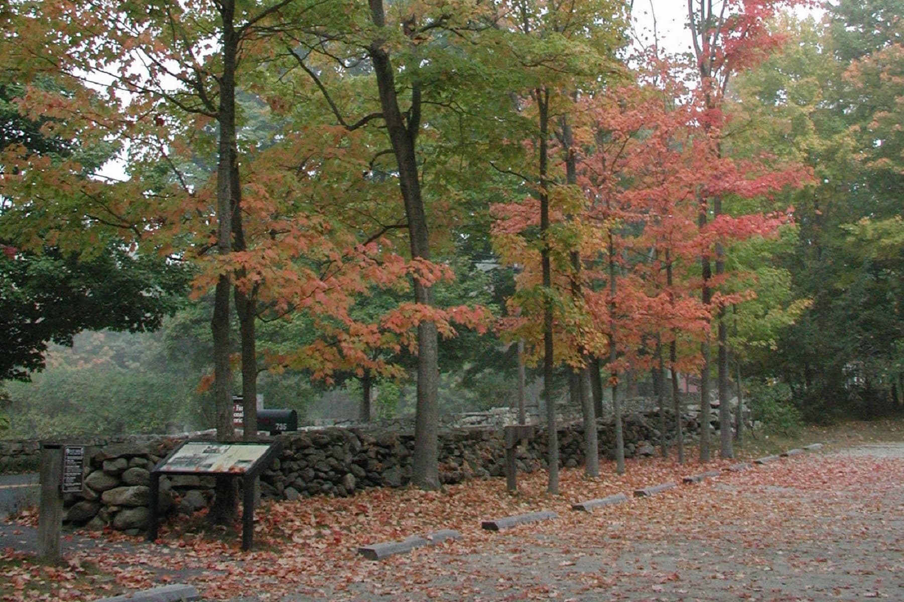 Visitor Parking Lot