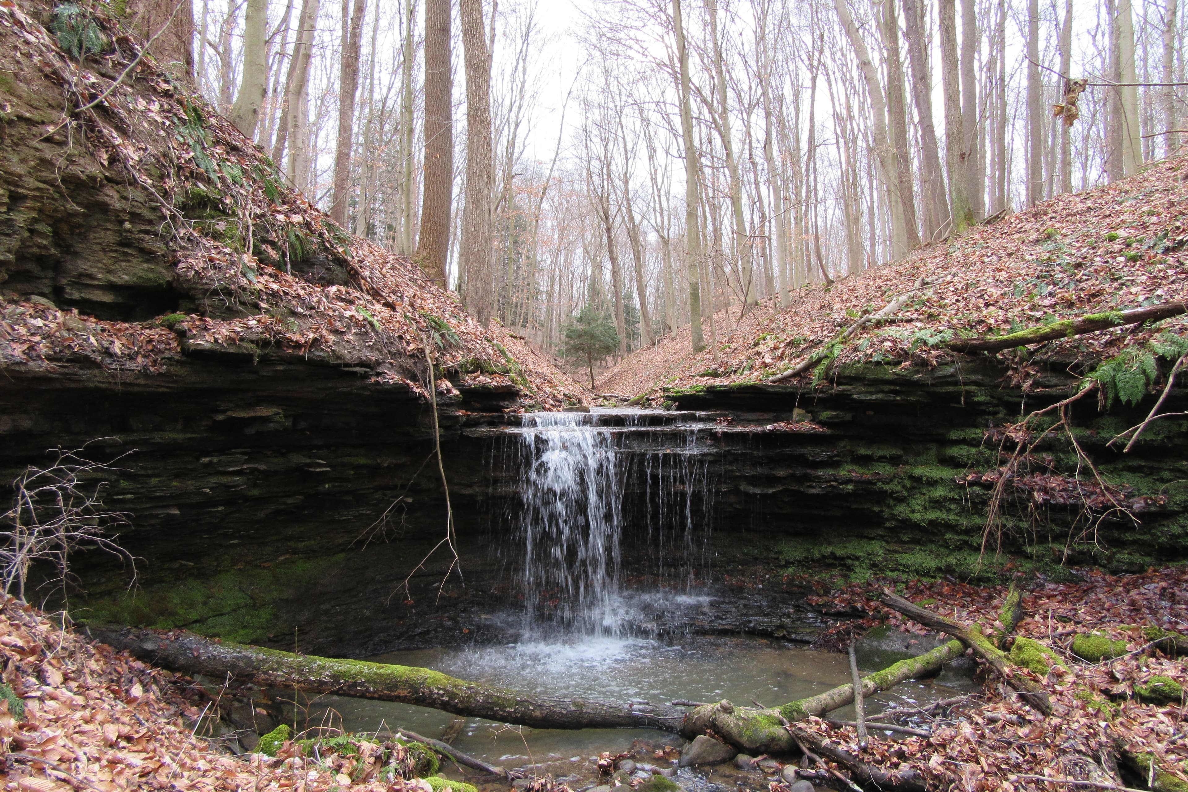 Friendship Hill Loop Trail