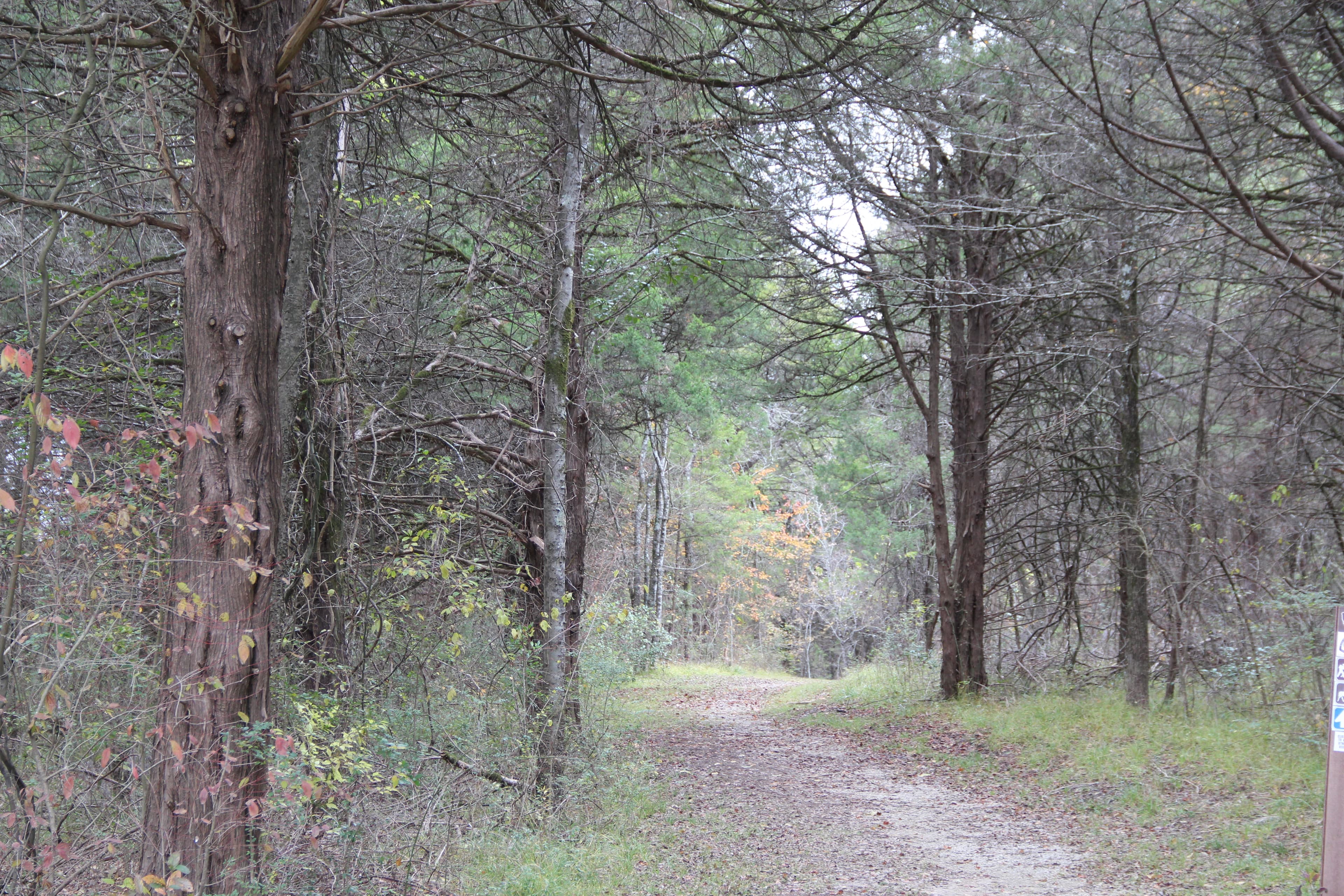 Blackland Prairie Section Southern Terminus Trailhead, West Jackson Street