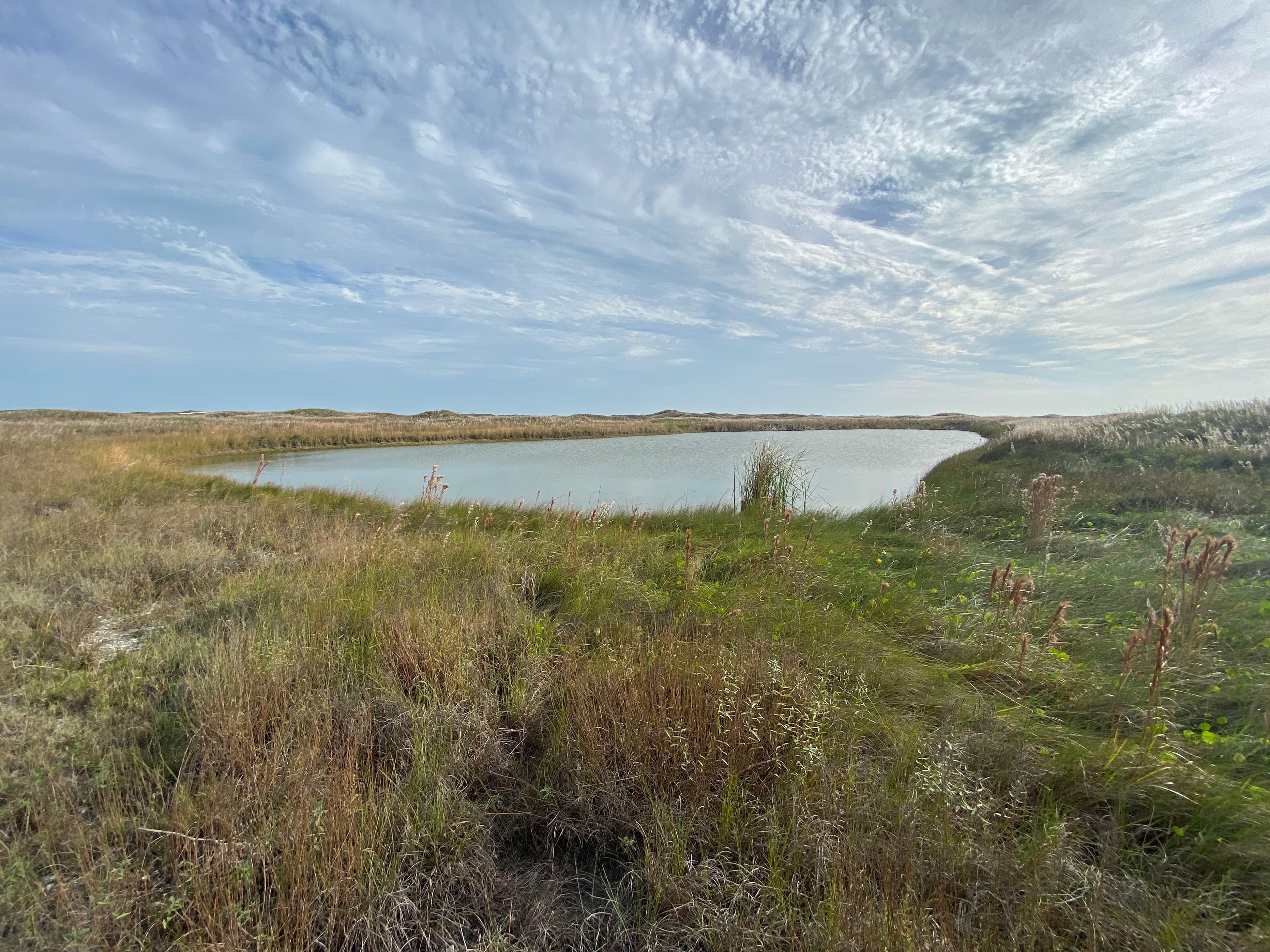 Freshwater Pond