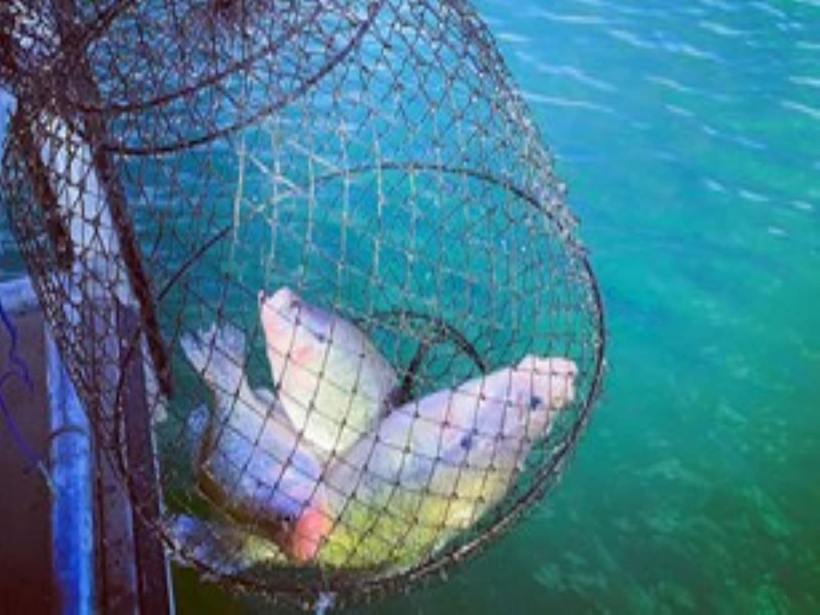 Fishing