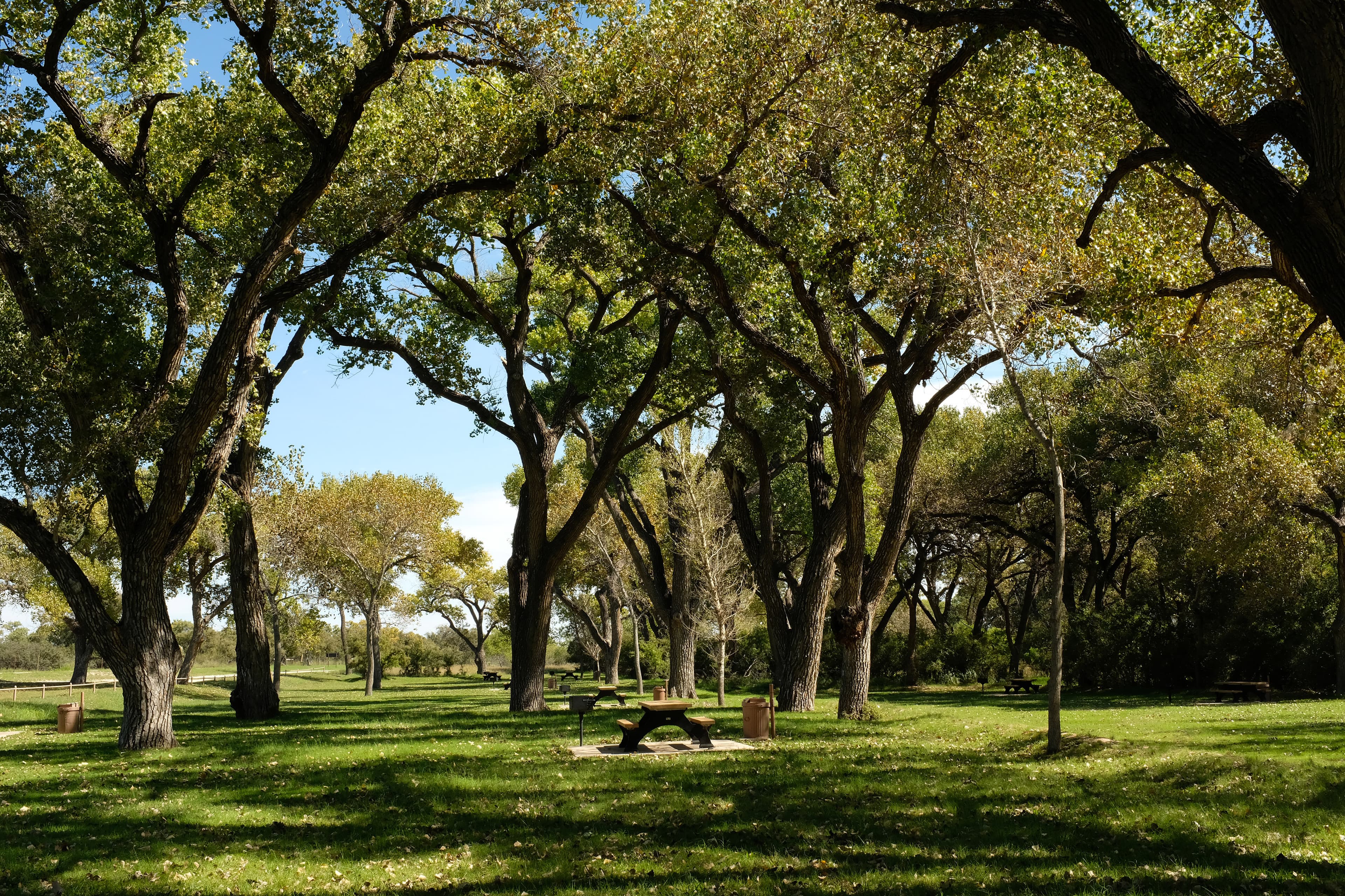 Rattlesnake Springs