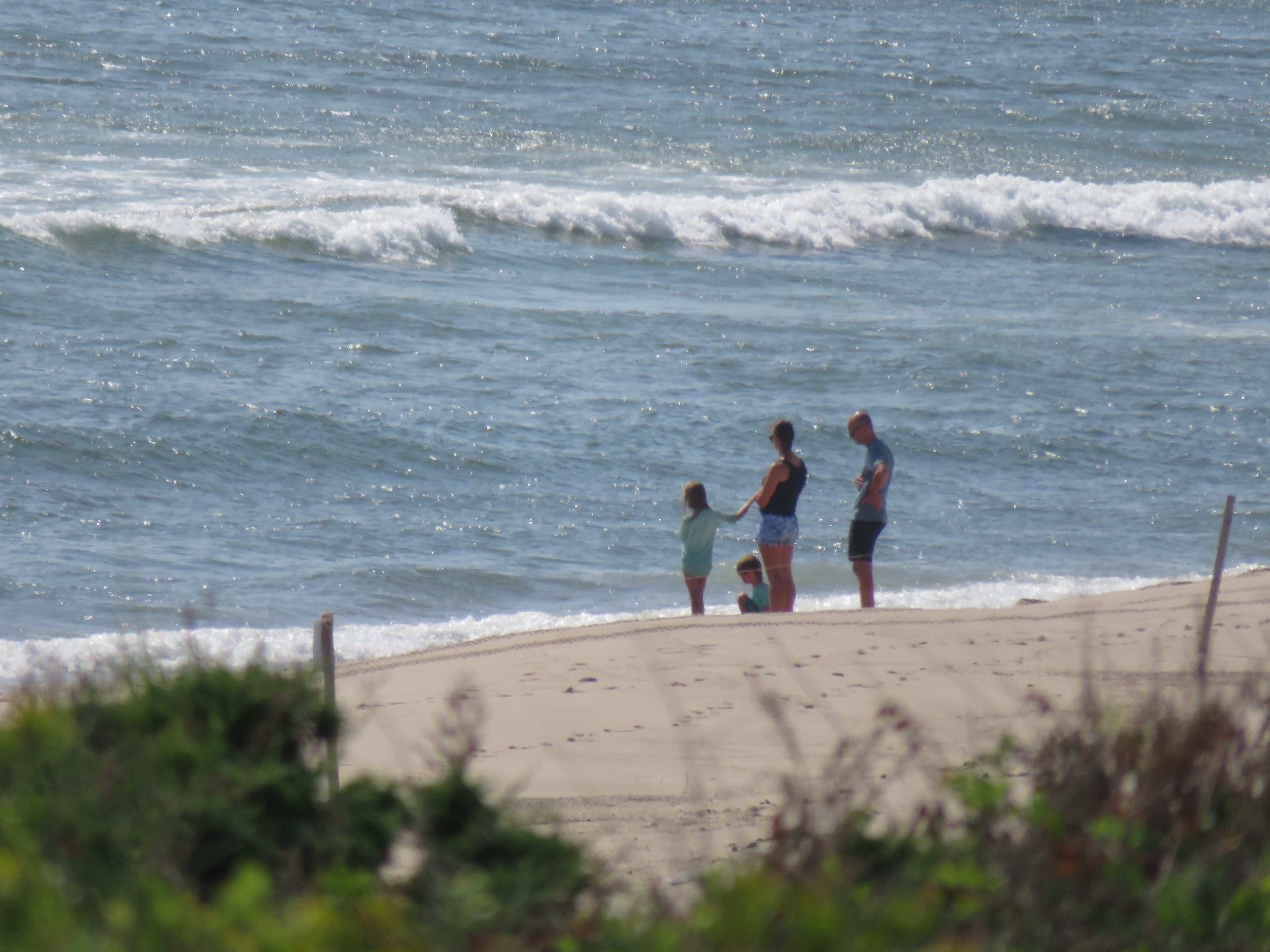 Coast Guard Beach