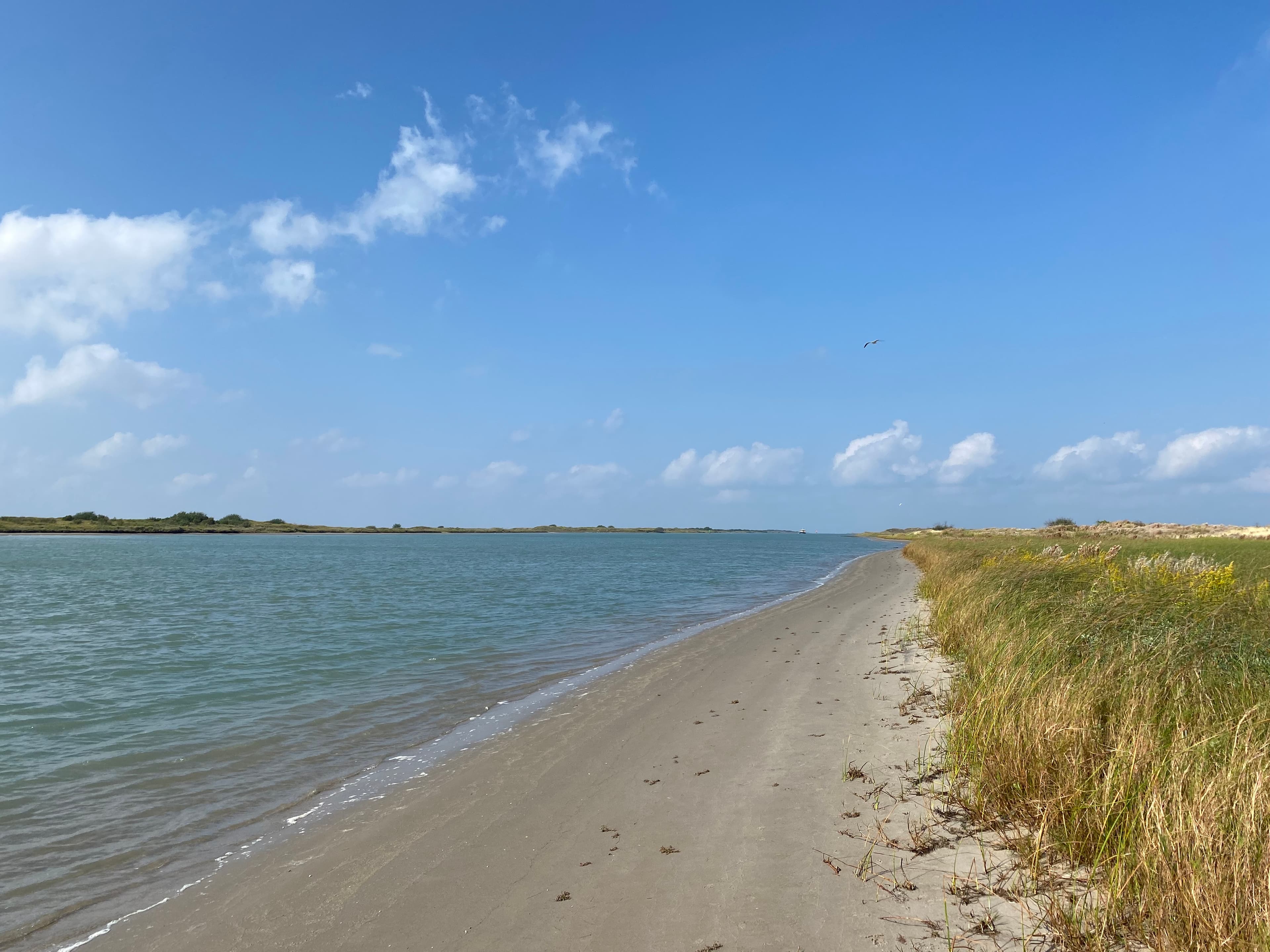 Mansfield Channel