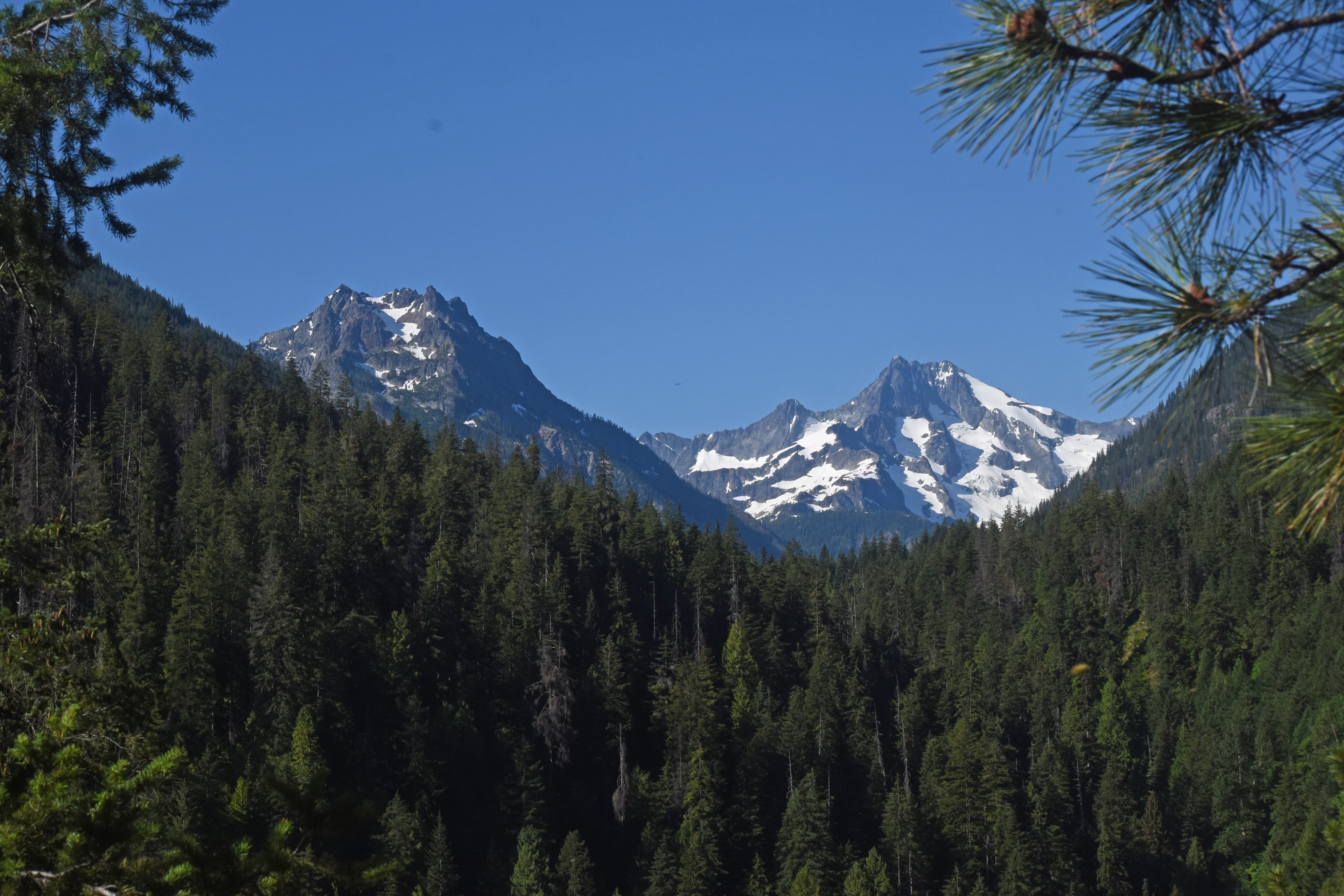 Company Creek Trail