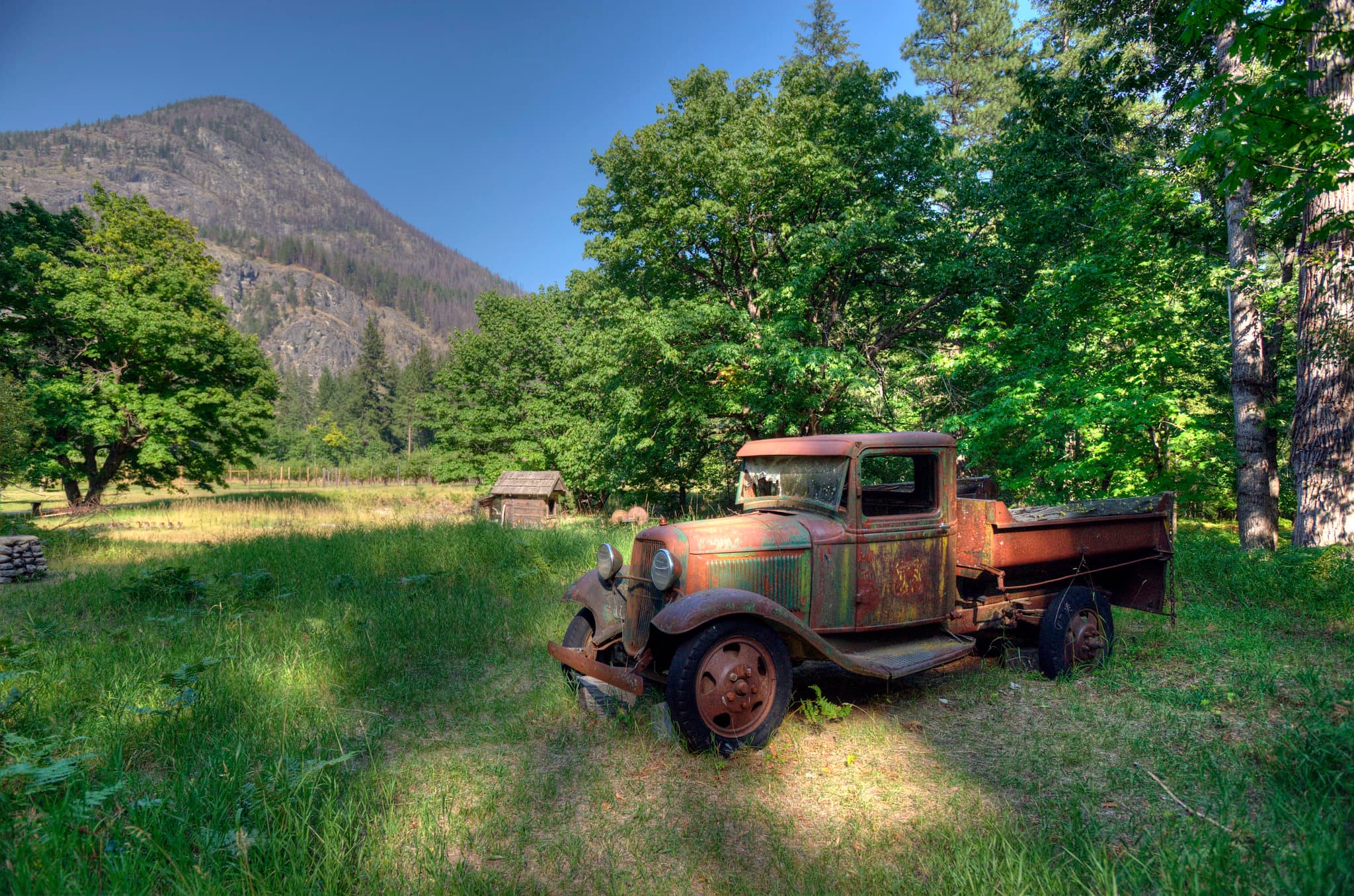 Buckner Orchard
