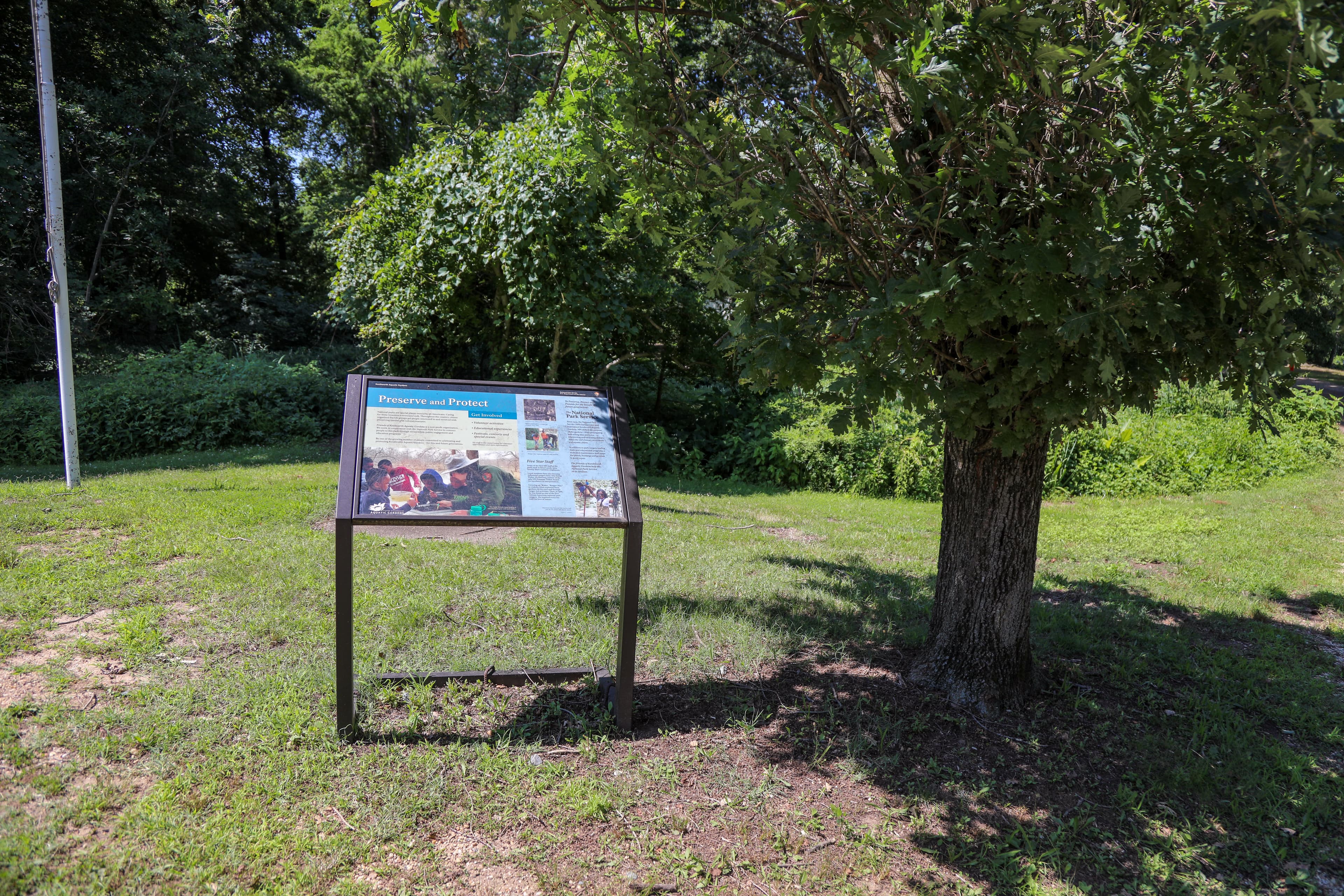Information Panel: Preserve and Protect