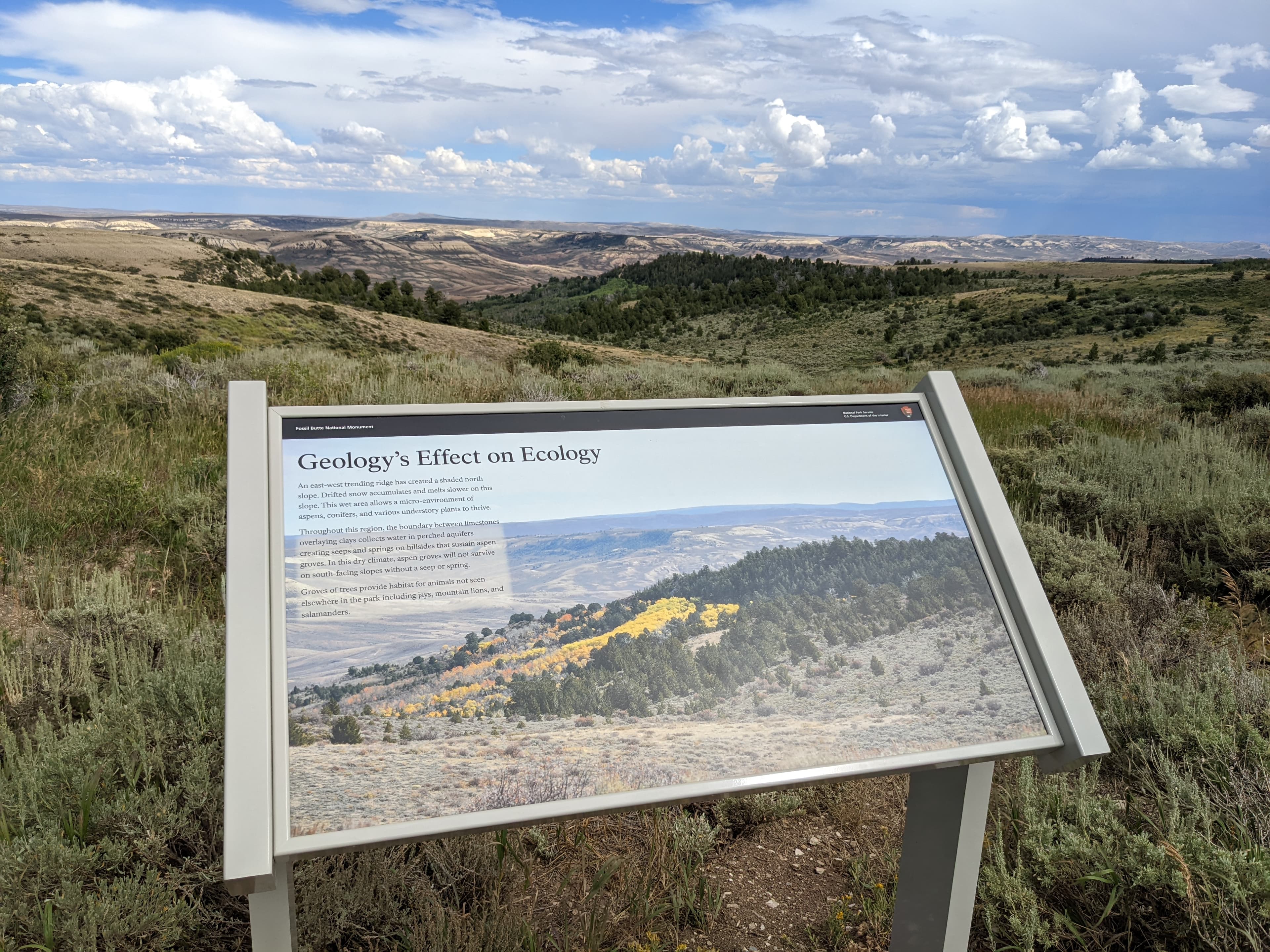 Wayside: Geology's Effect on Ecology