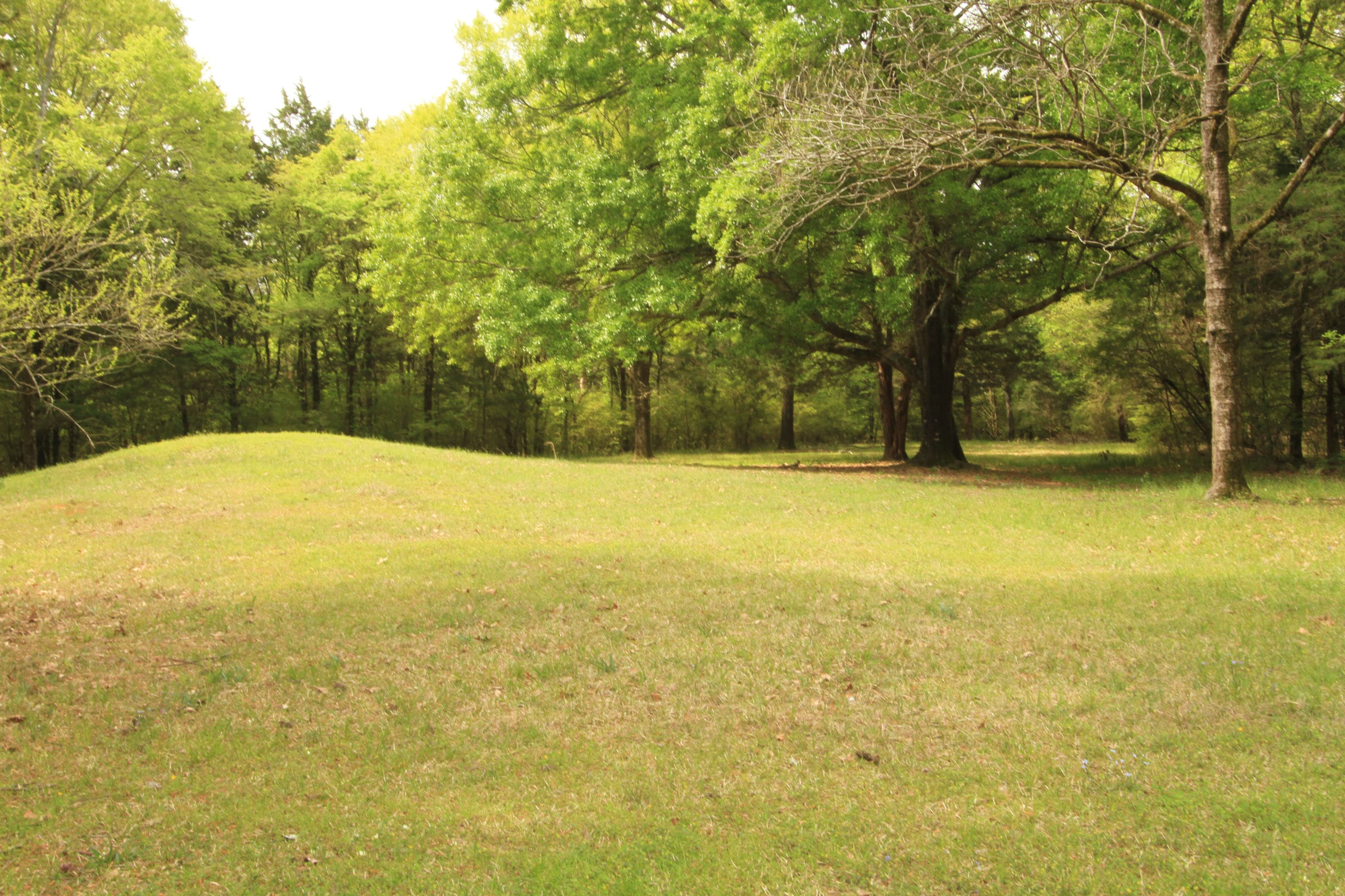 Boyd Site, Milepost 106.9