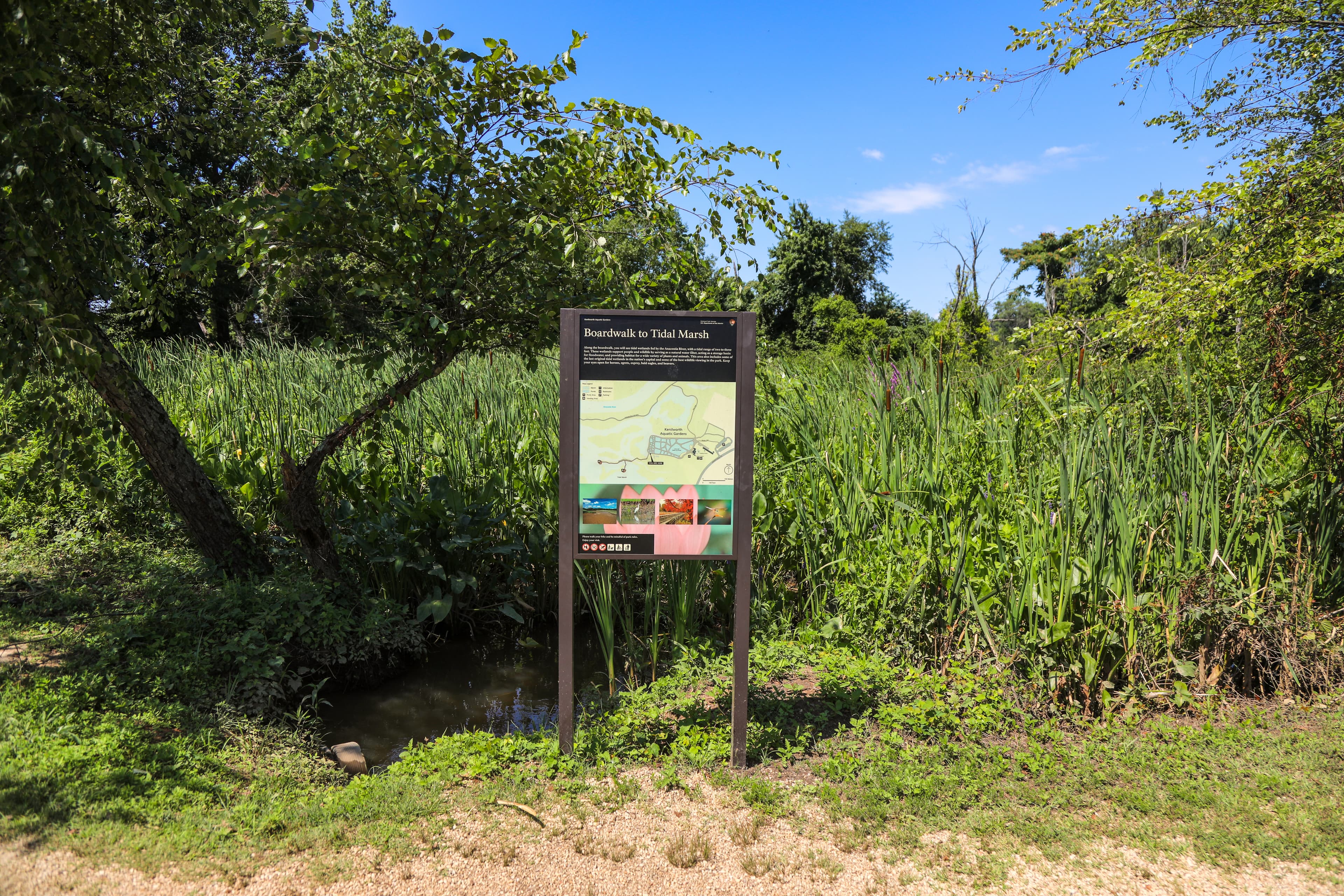 Information Panel: Boardwalk to Tidal Marsh